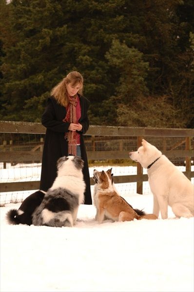 Scotti and Dogs, Christmas 2008.jpg