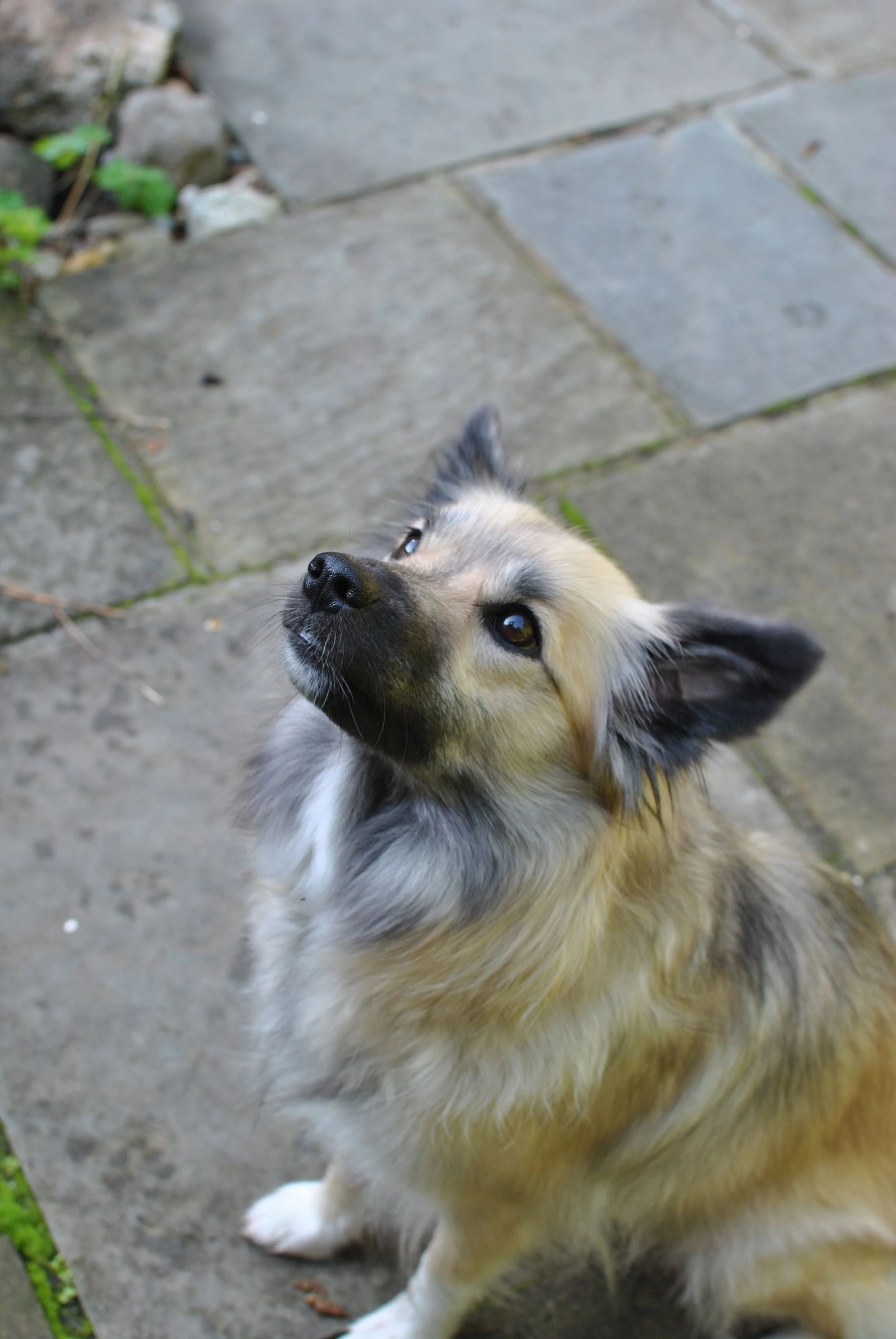 DSC_0227.jpg