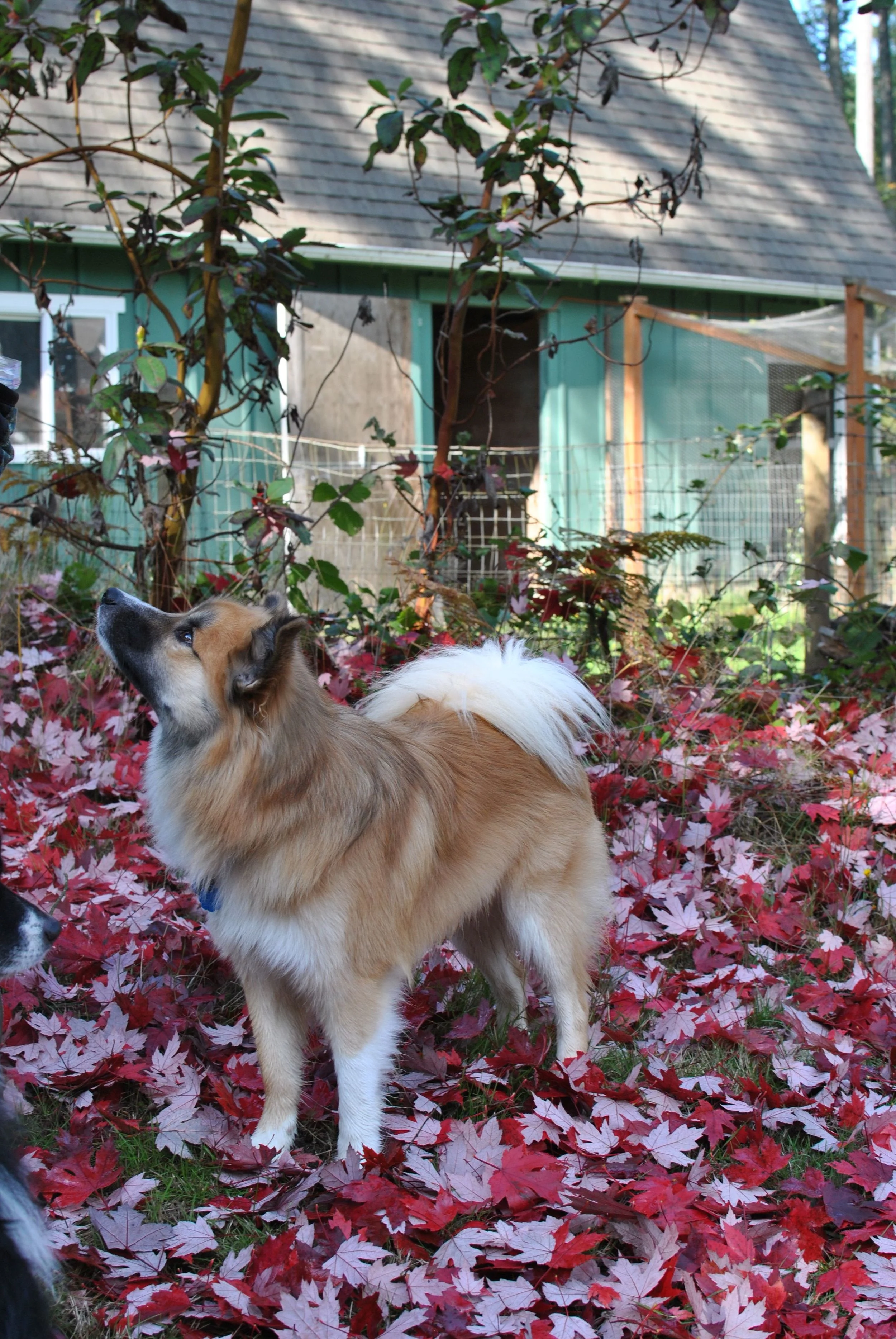 DSC_0094.jpg