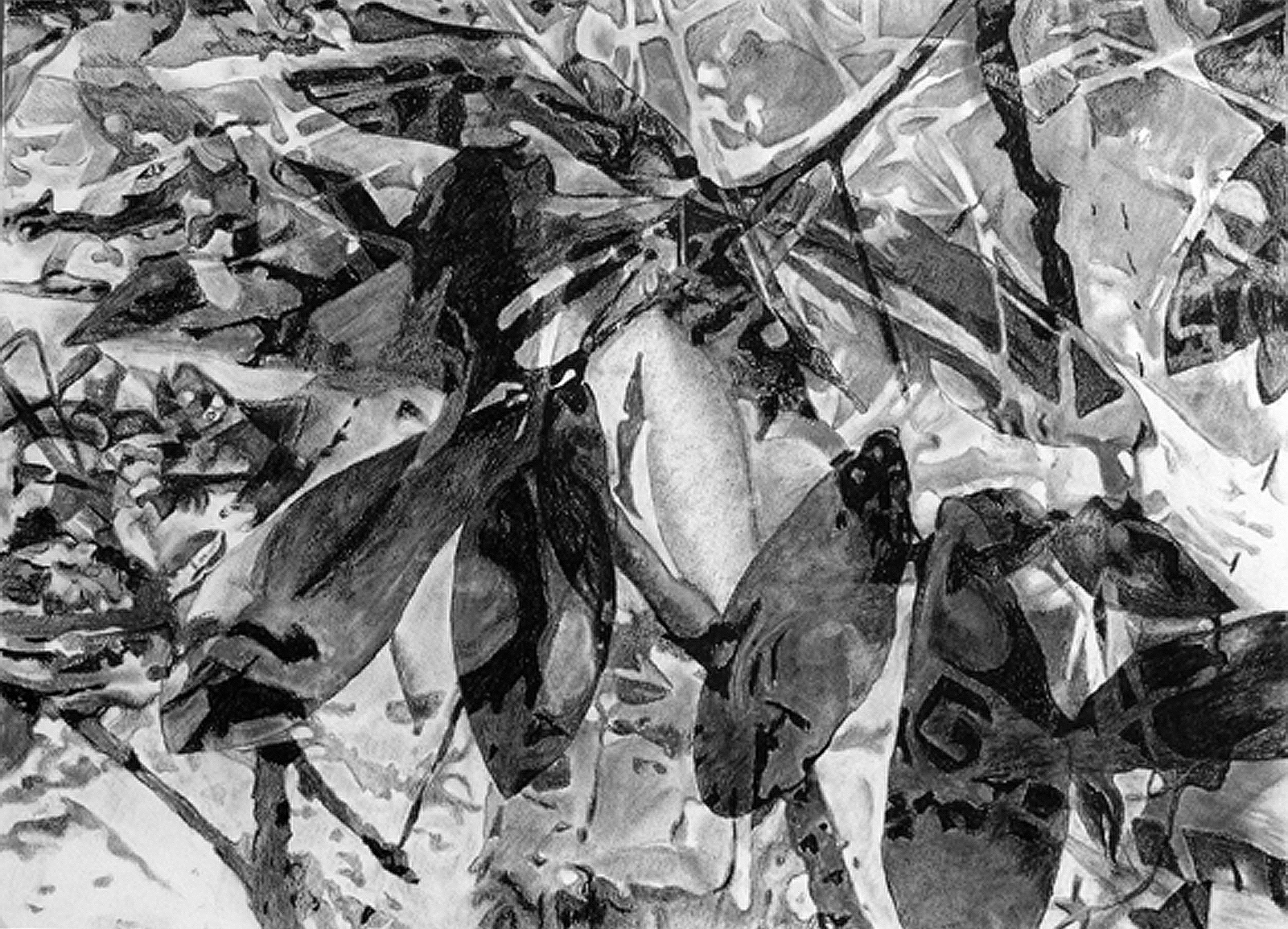 Cold Light, 20” x 30”, Vine and Compressed Charcoal