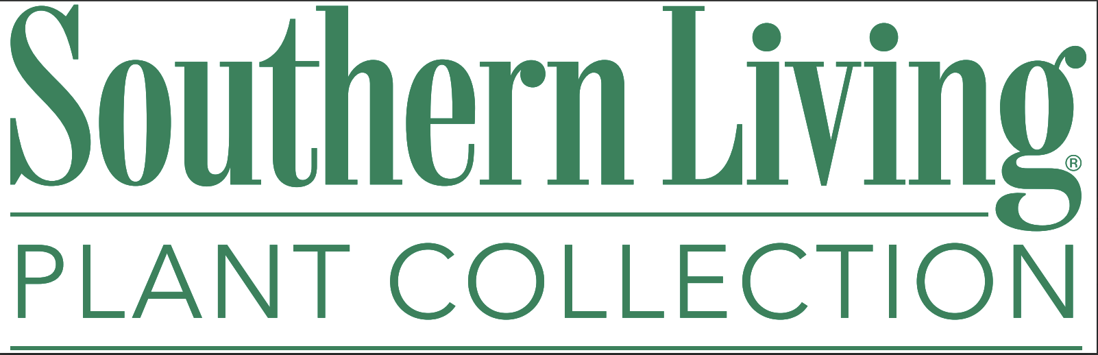 Screenshot 2026-02-19 at 4.57.01 PM.png