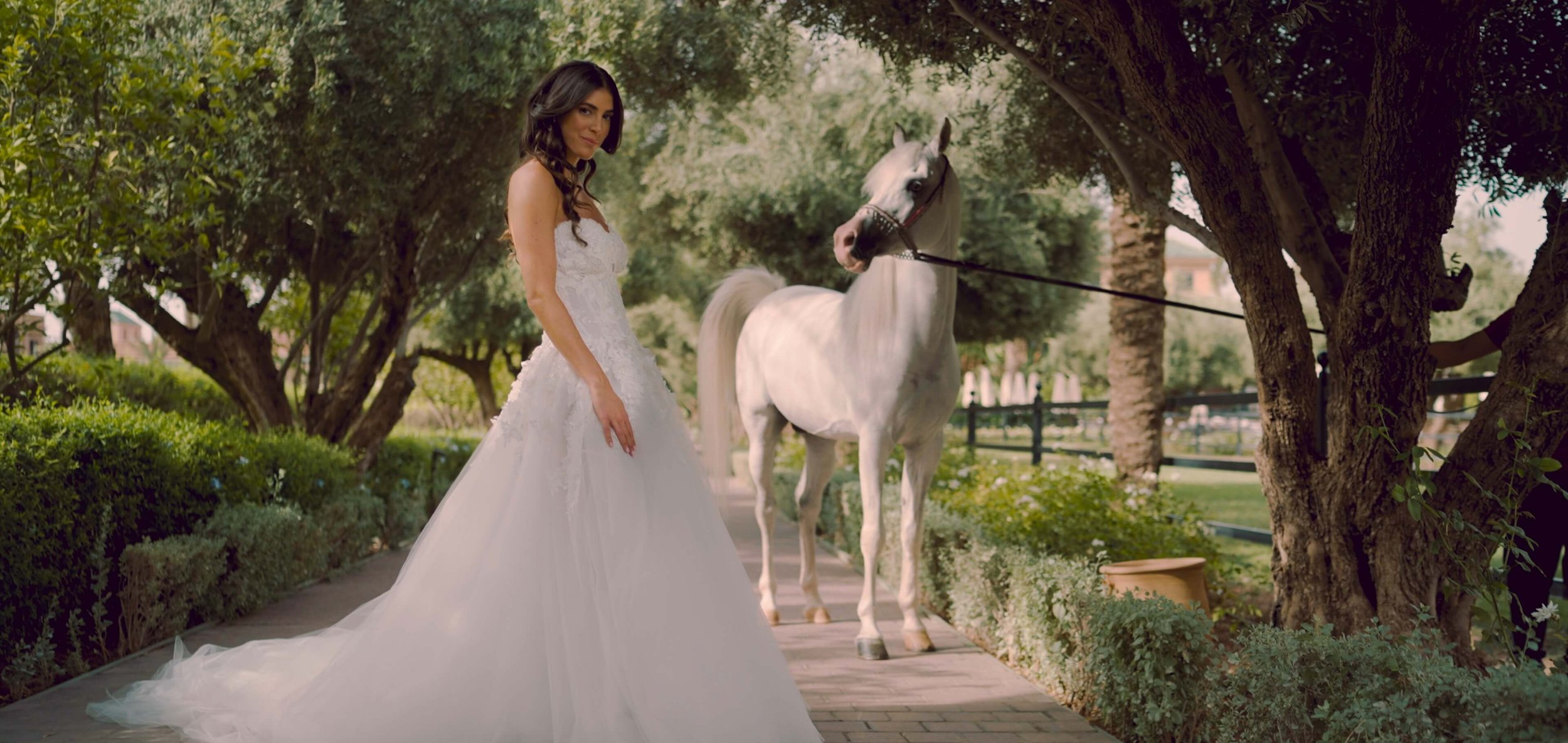 Alexandra & Raph - Wedding Film Highlight.mov_snapshot_01.00.373.jpg