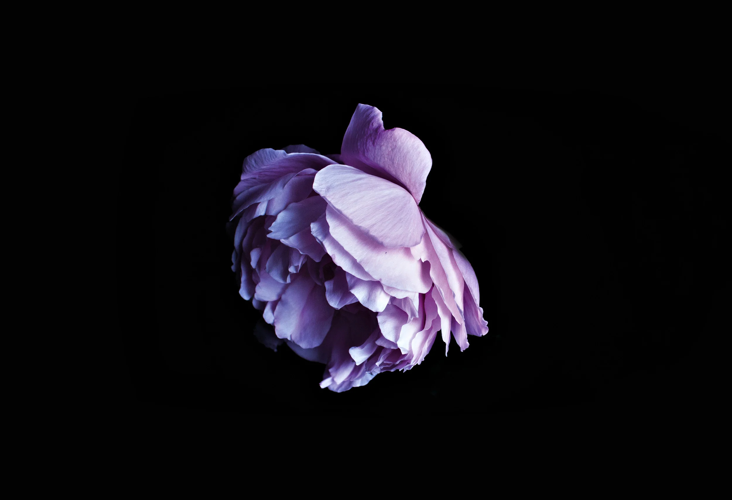 IsabelleOsborne_GRADSHOW12.jpg