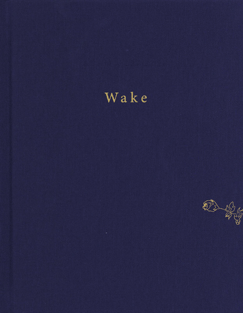 wake1.jpg