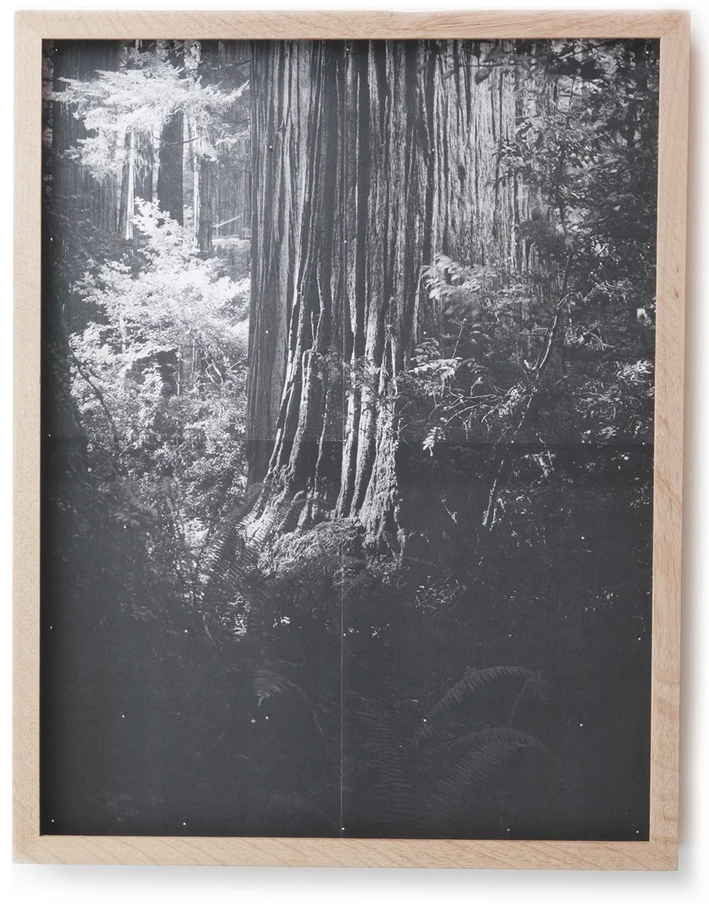 xcopy VII, 2011