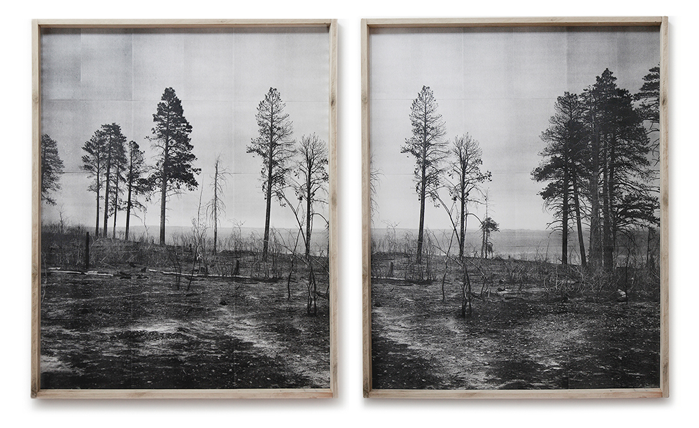 untitled 1260 p1 & p2, 2012