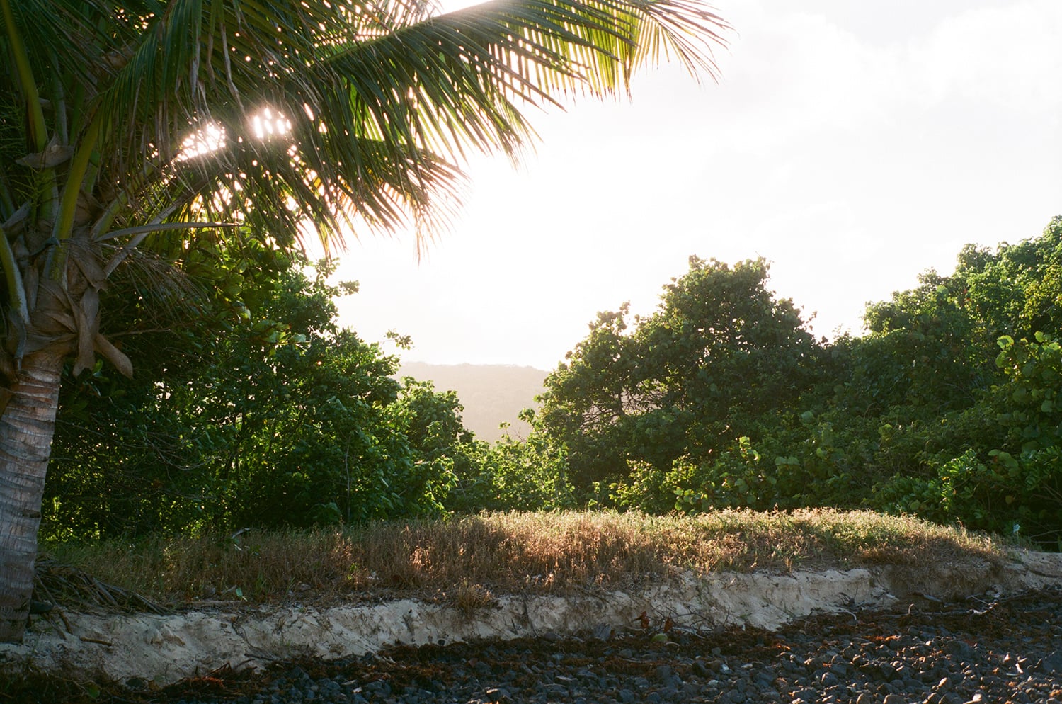 Editorial and Lifestyle Photographer Dena Robles in Culebra Puerto Rico