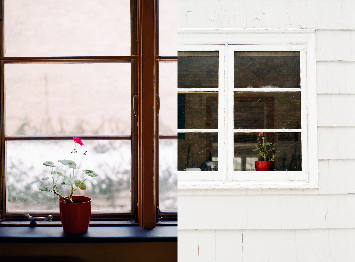 grand rapids michigan film photographer dena robles