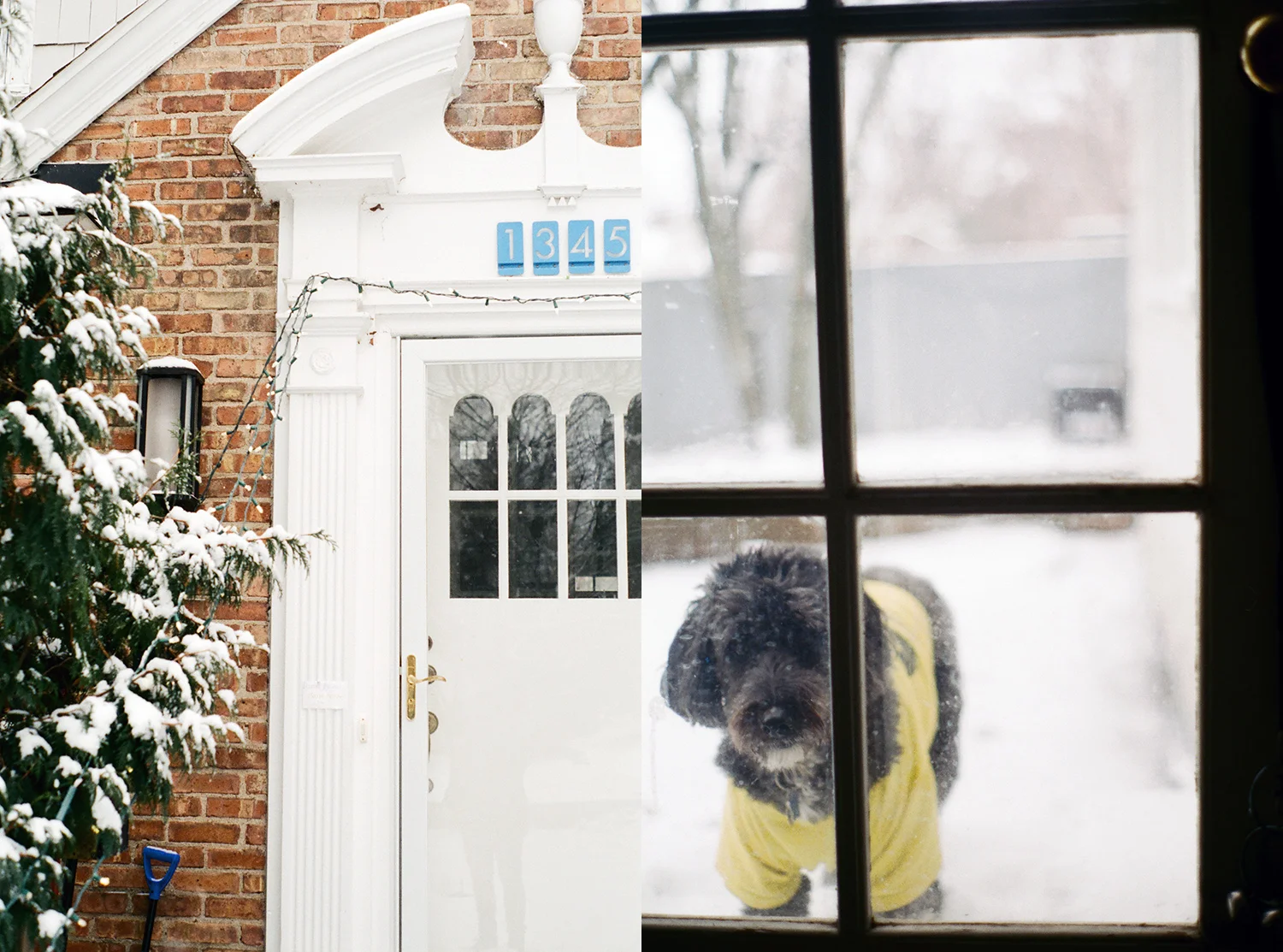 Pure Michigan, winter photos in grand rapids michigan by dena robles