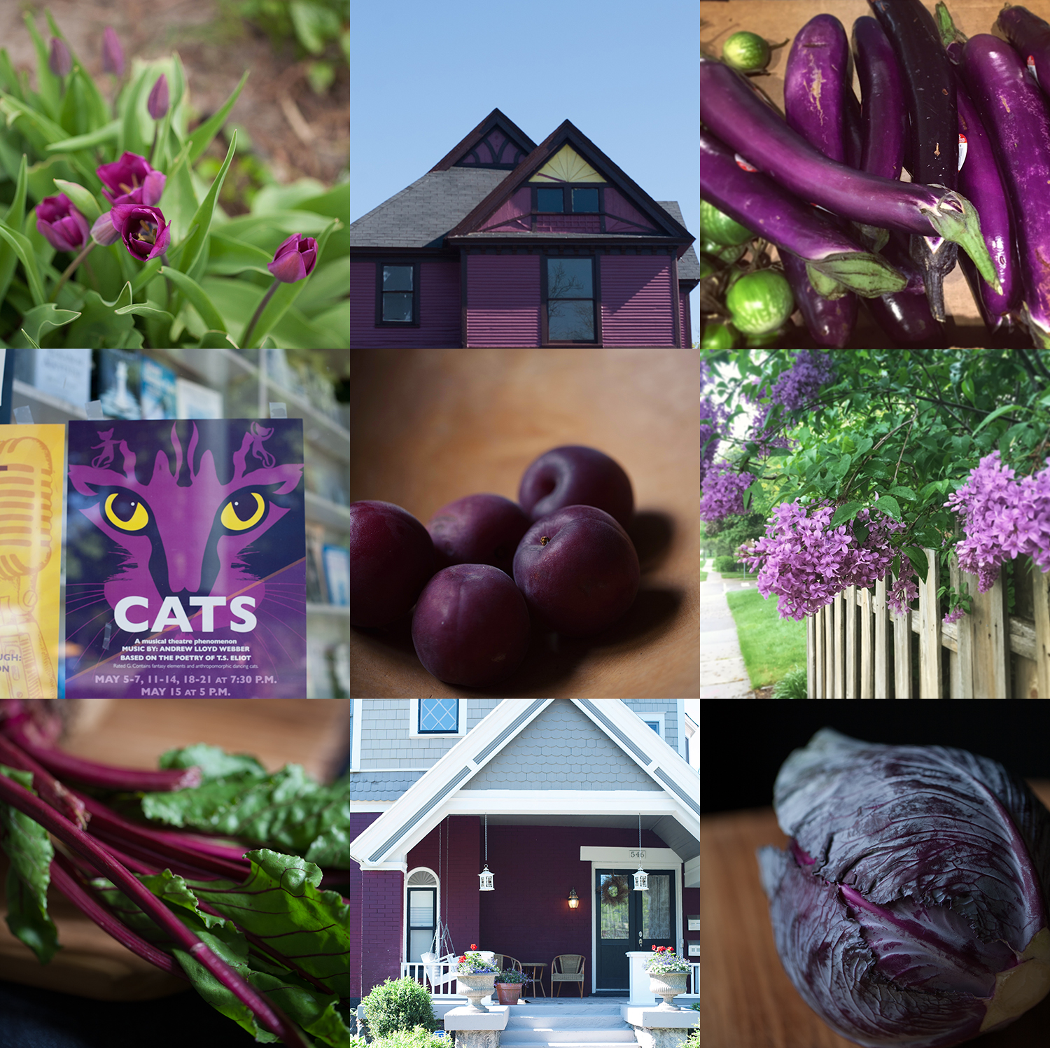 ColorColour Lovers Purple and Relay for Life