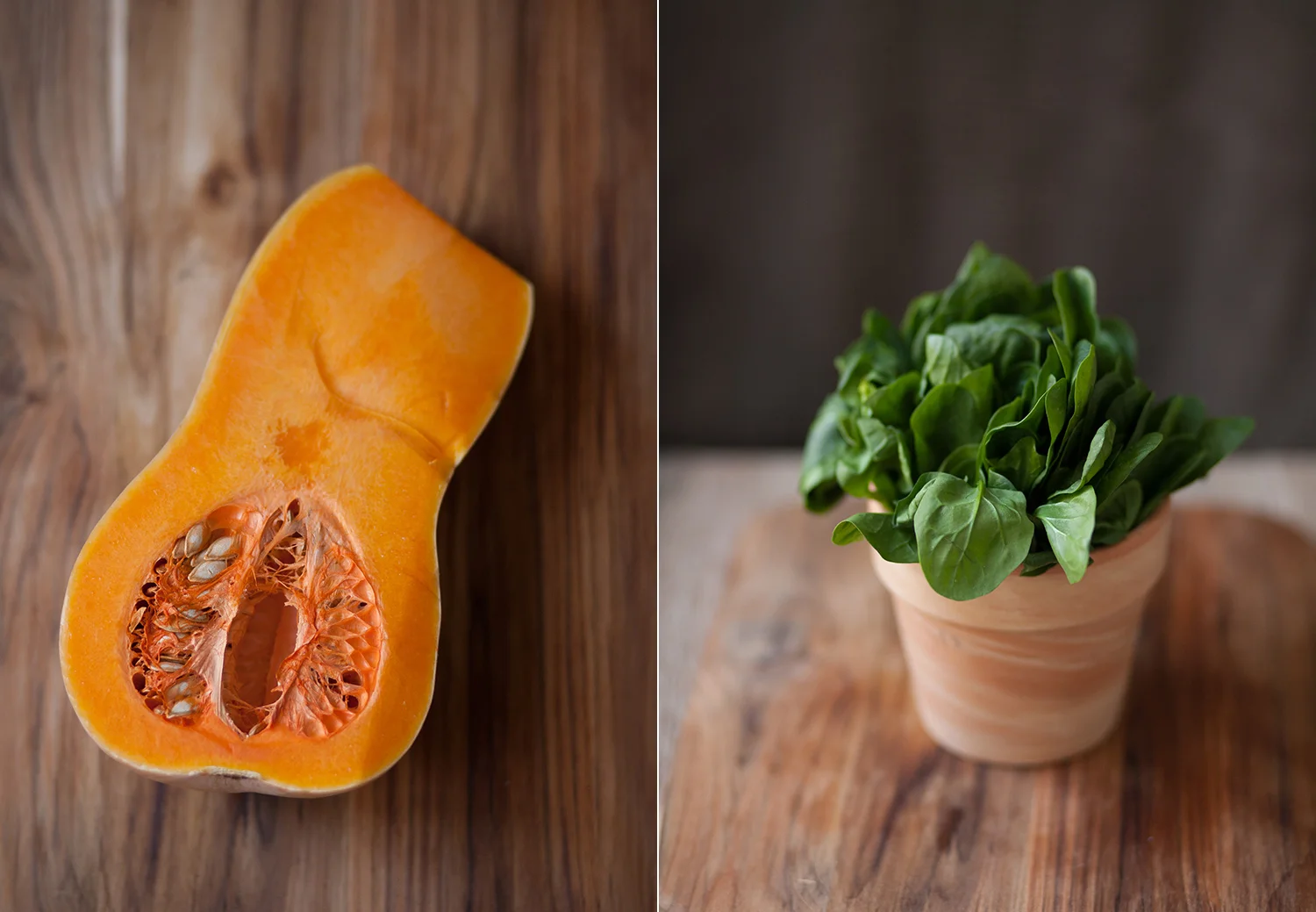 Portraits of Vegetables, Farmers Market photographs