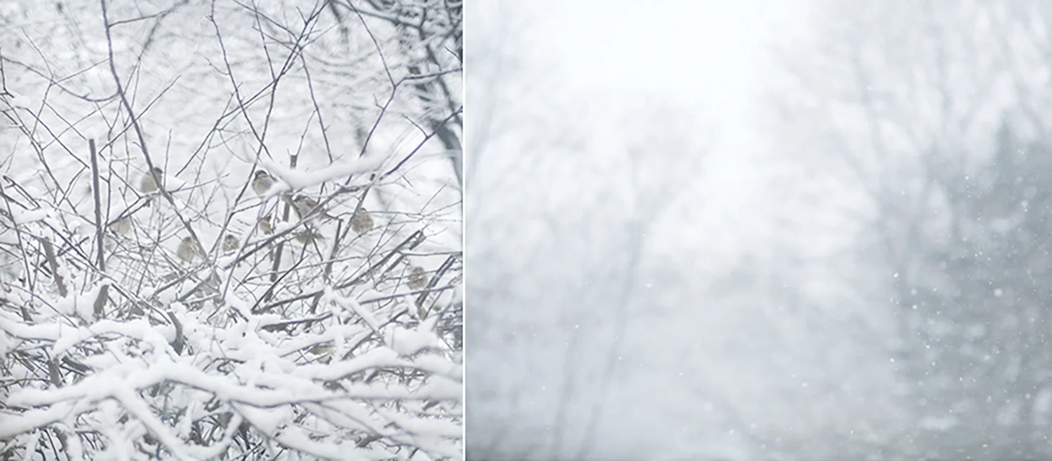 a winter story aa.jpg
