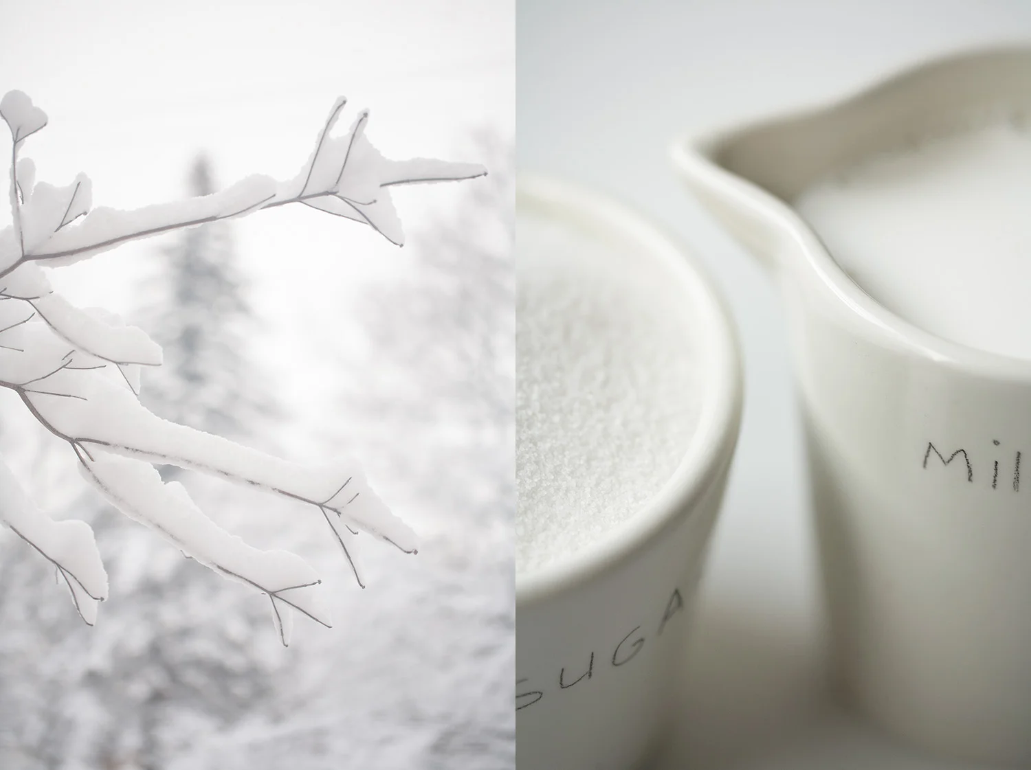 a winter story c.jpg