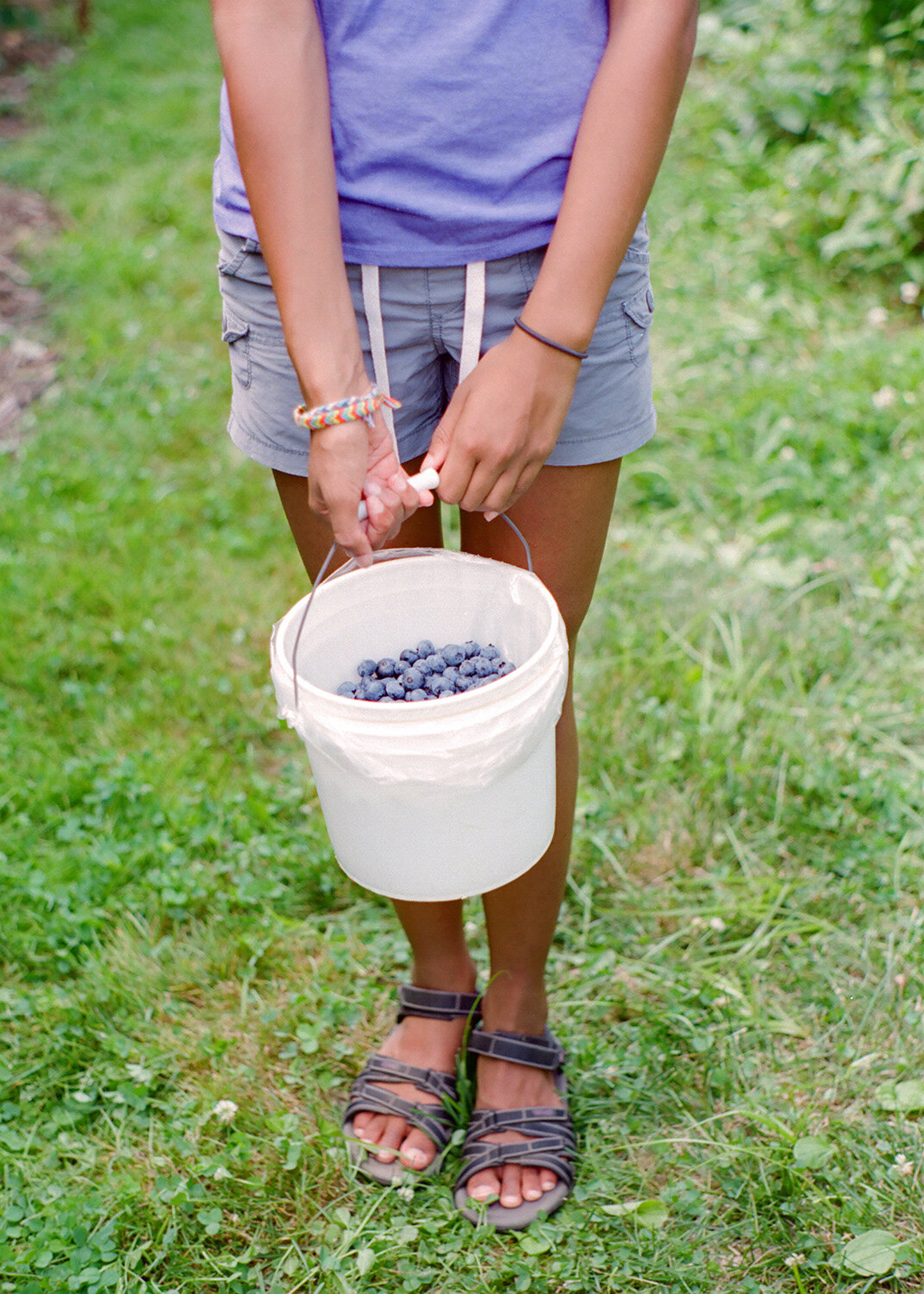 farm_to_table_blueberry picking10.jpg