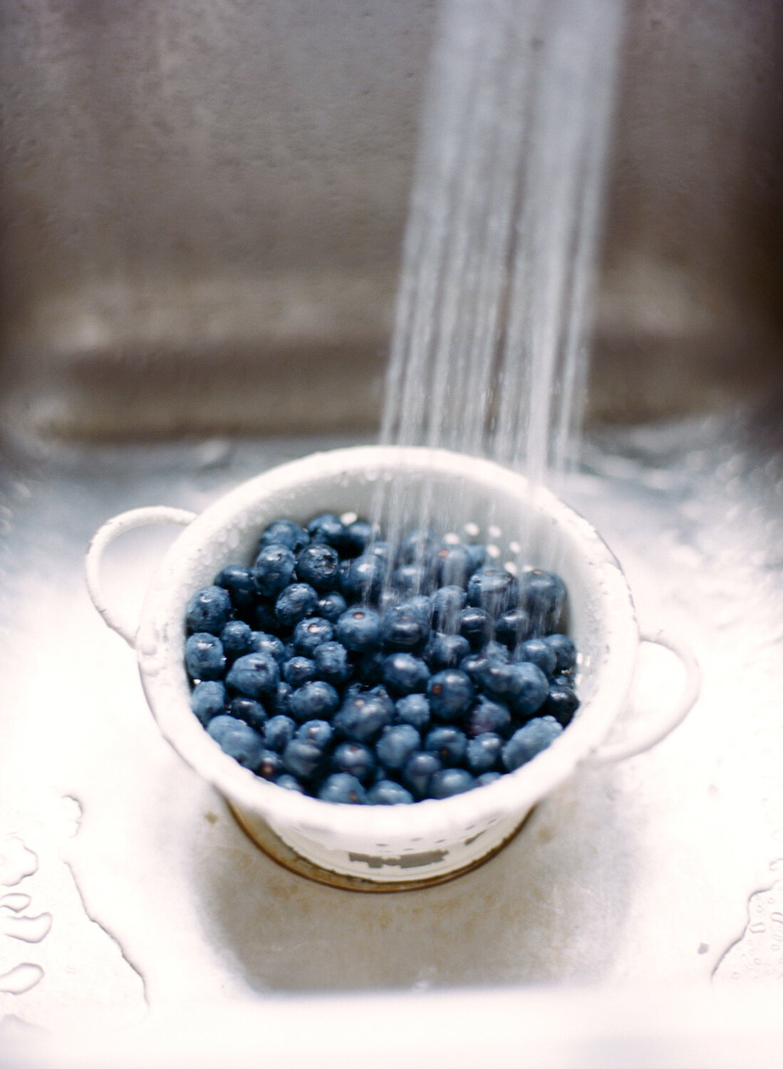 farm_to_table_blueberry picking03.jpg