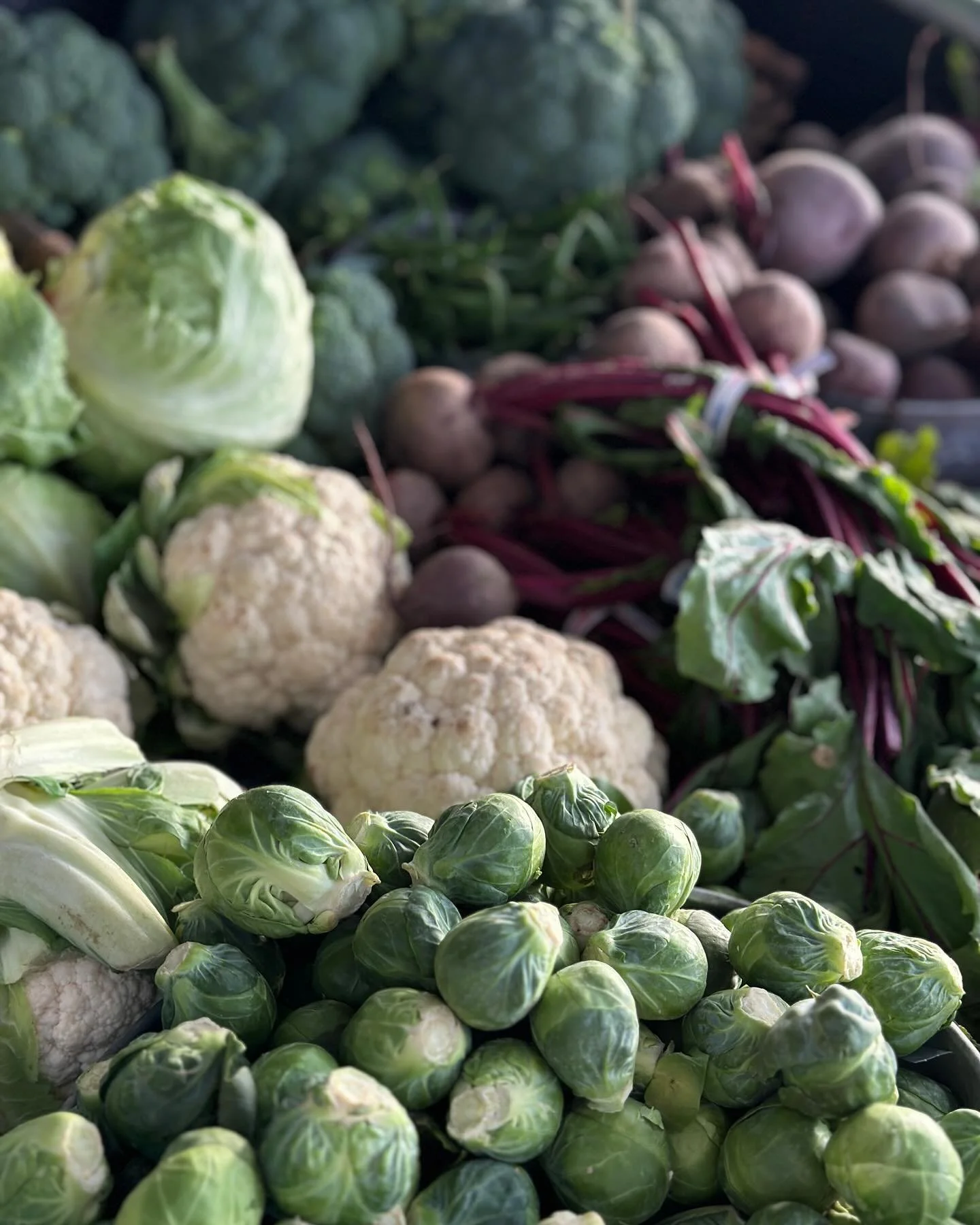 Thanksgiving harvest dinner provided by the locals.