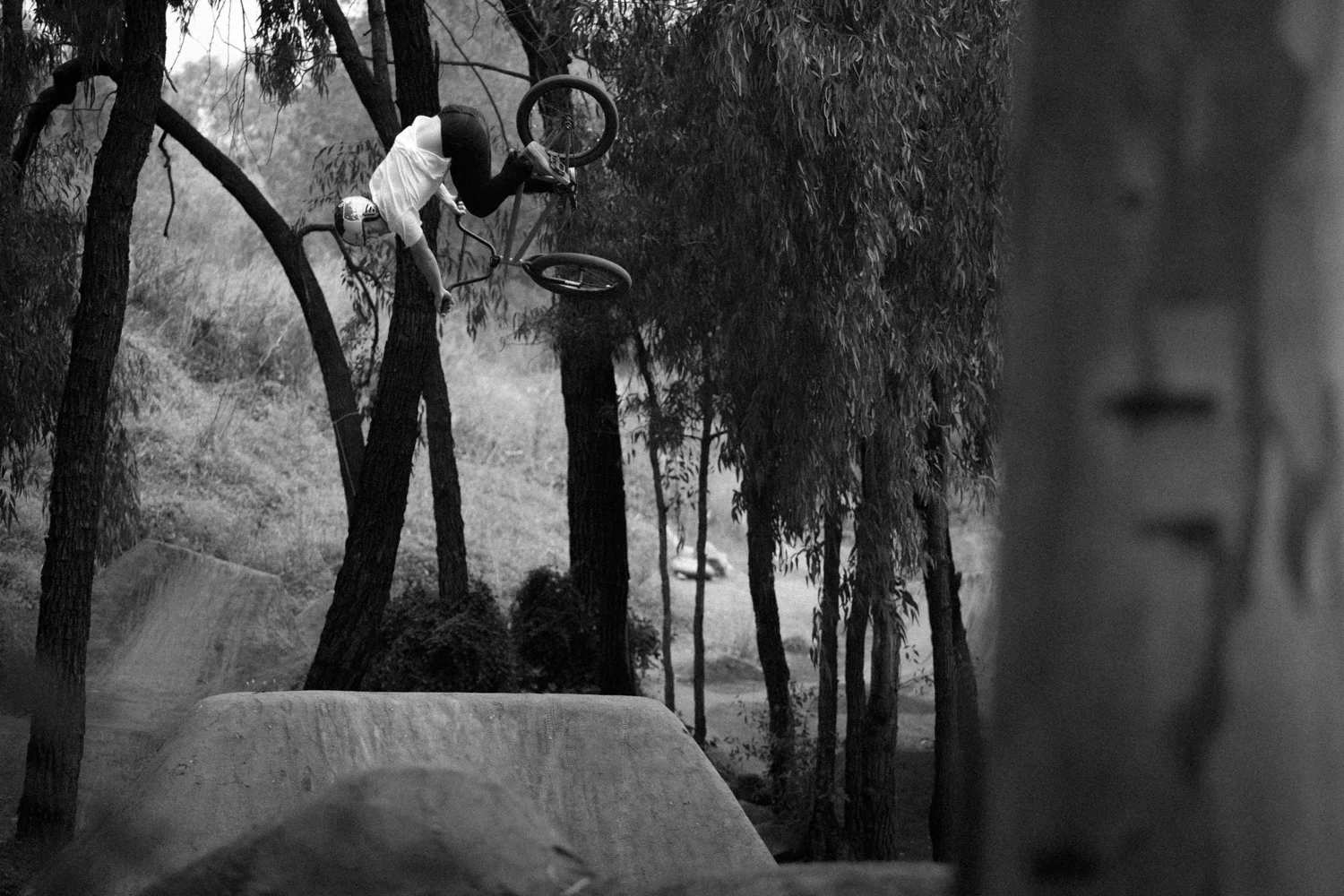 Sergio Layos - 360 nose dive