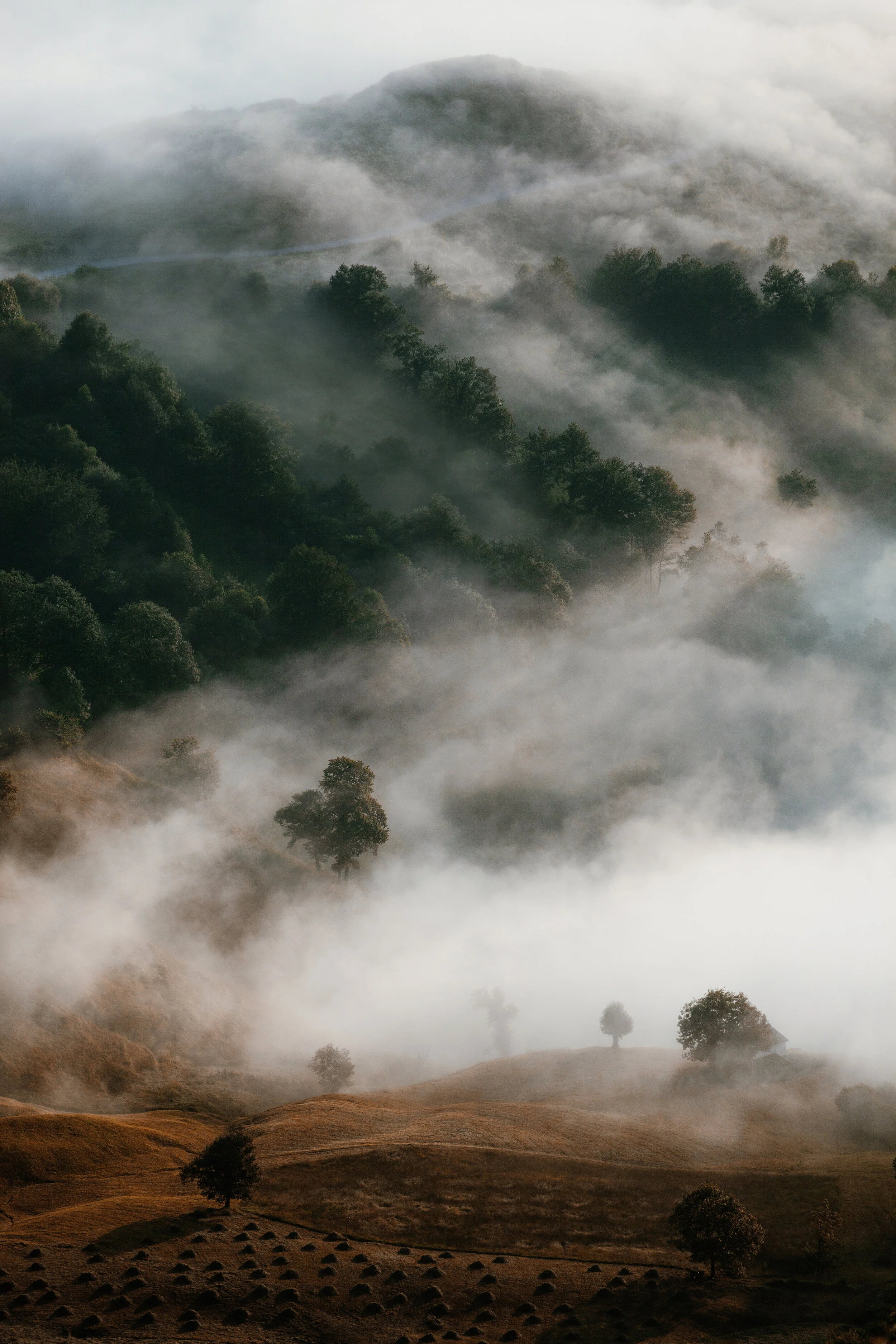 Copia de mtns-5272_edit (1).jpg