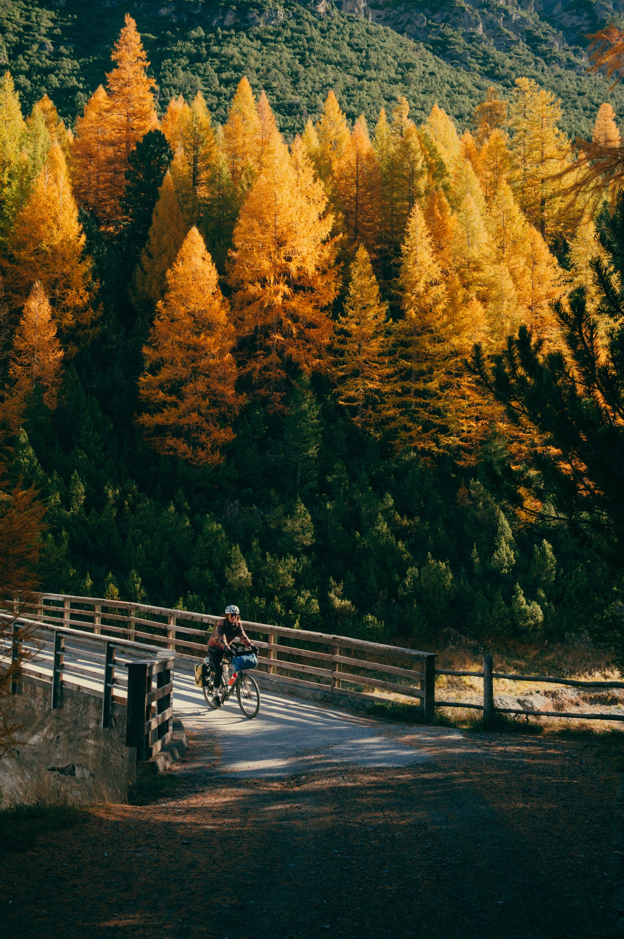 Engadin_Bikepacking-06926.jpg
