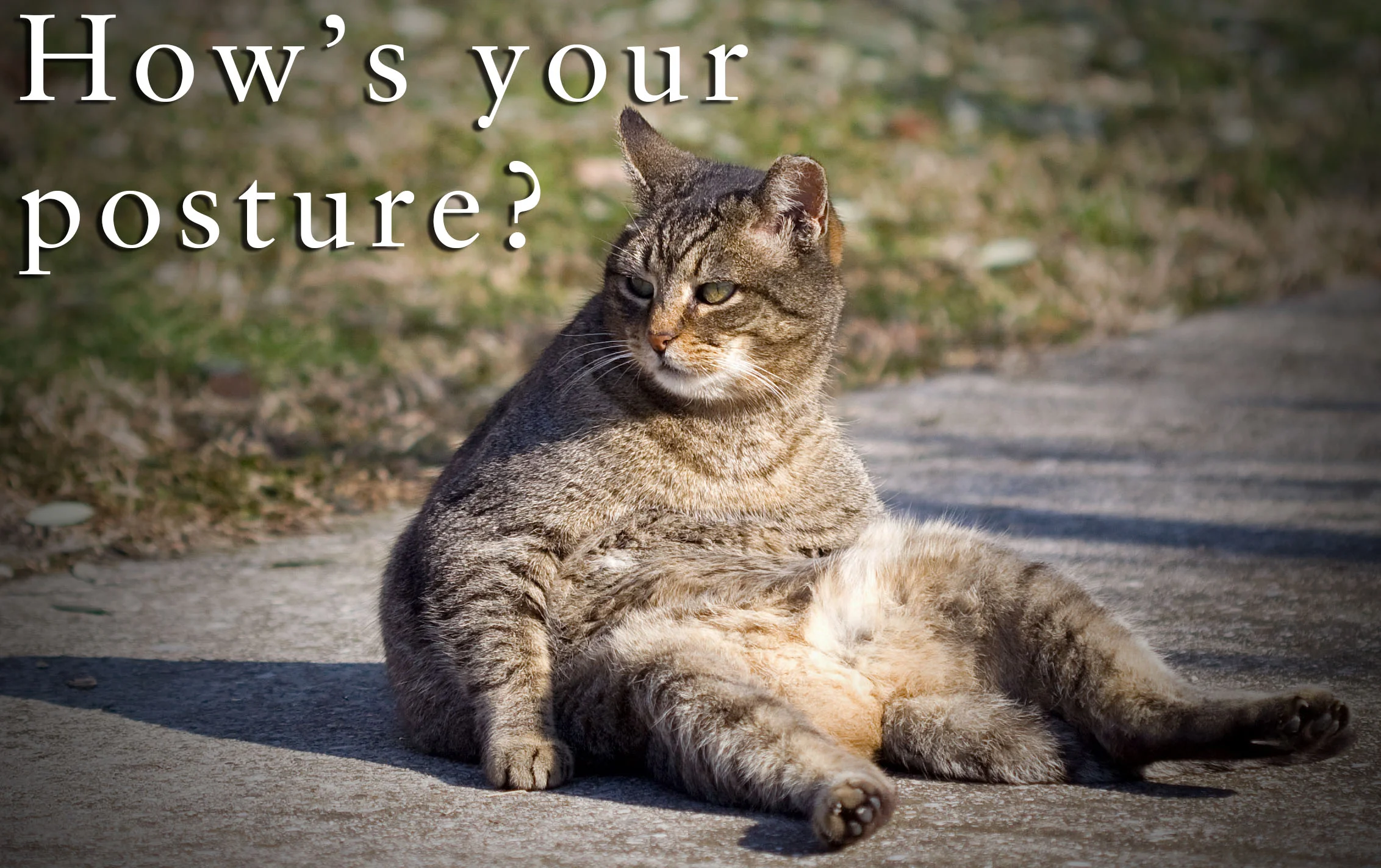 Bad posture is only cute on cats.