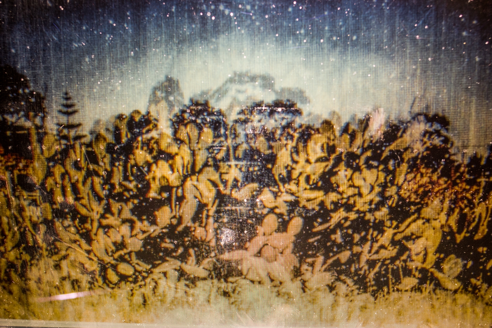 Interrupted Recollection IV