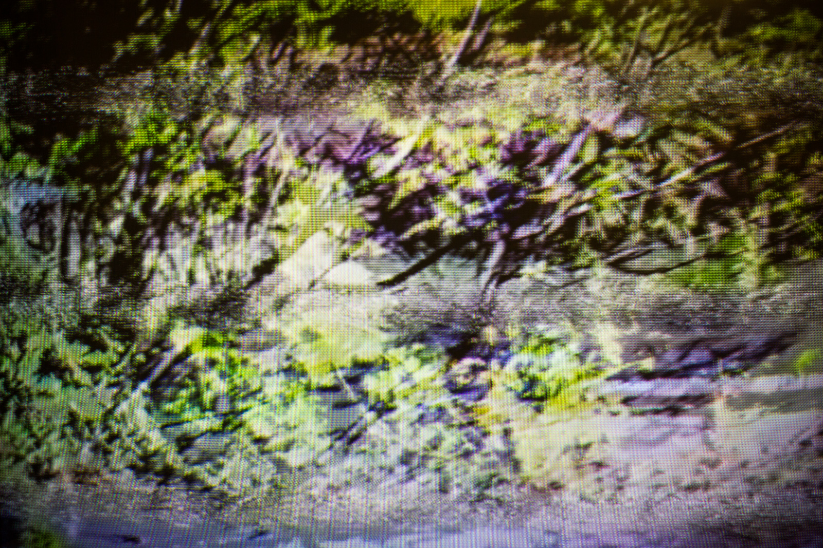 Interrupted Recollection IX