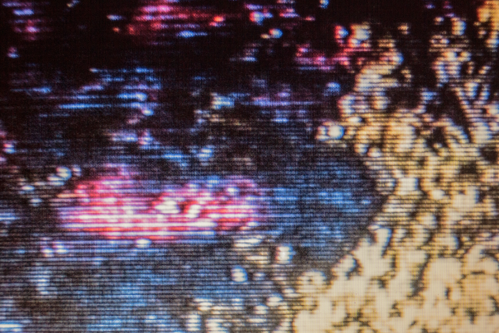 Interrupted Recollection X