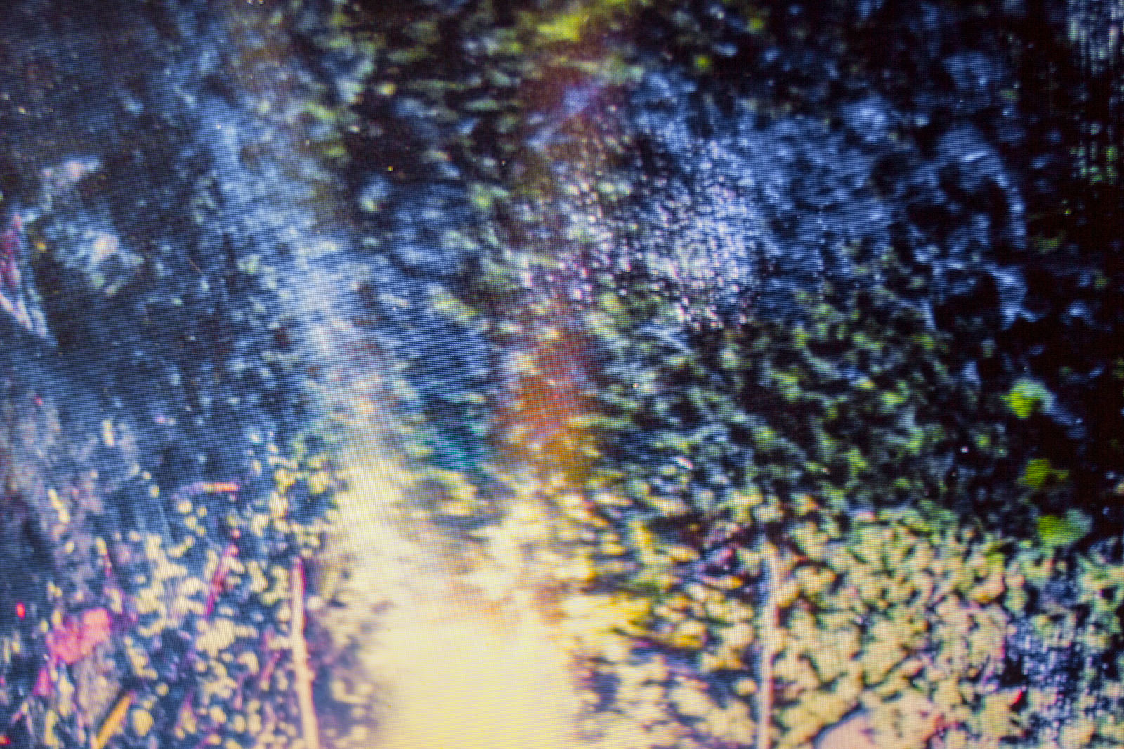 Interrupted Recollection XV