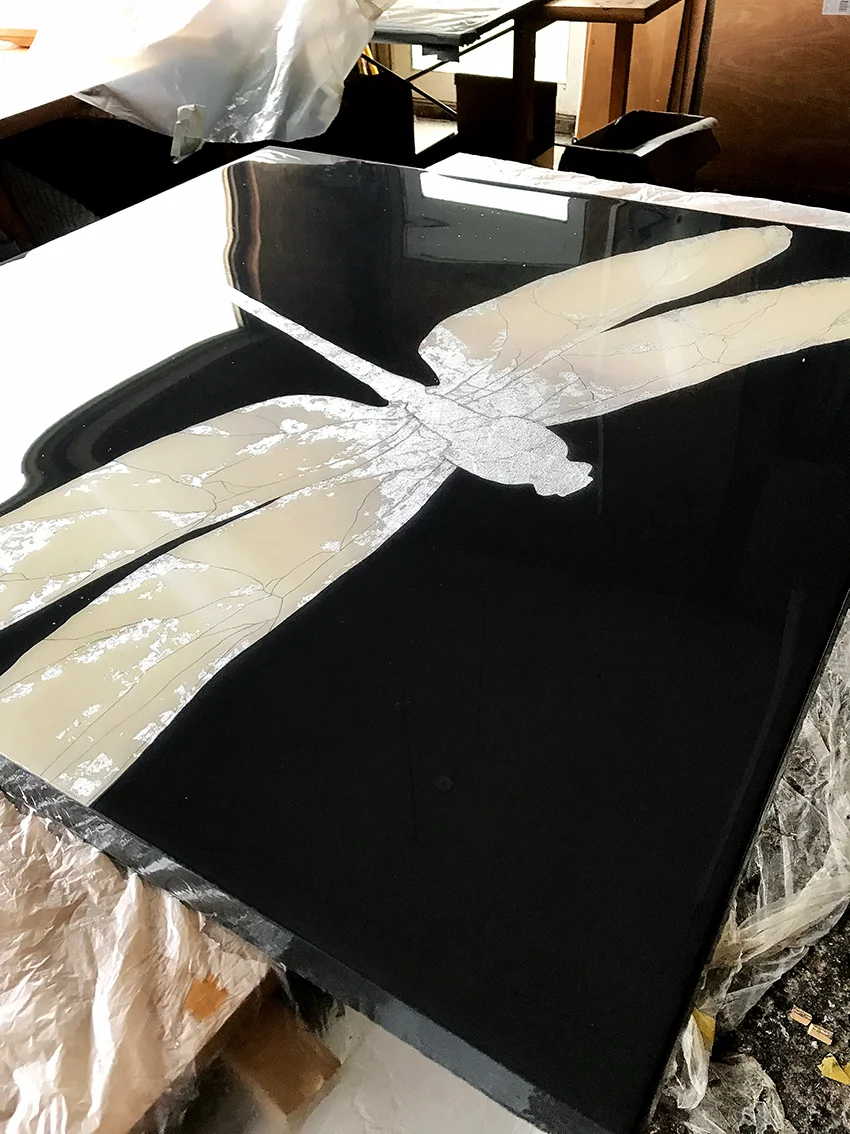 SOLSTICE Dragonfly cooking in studio