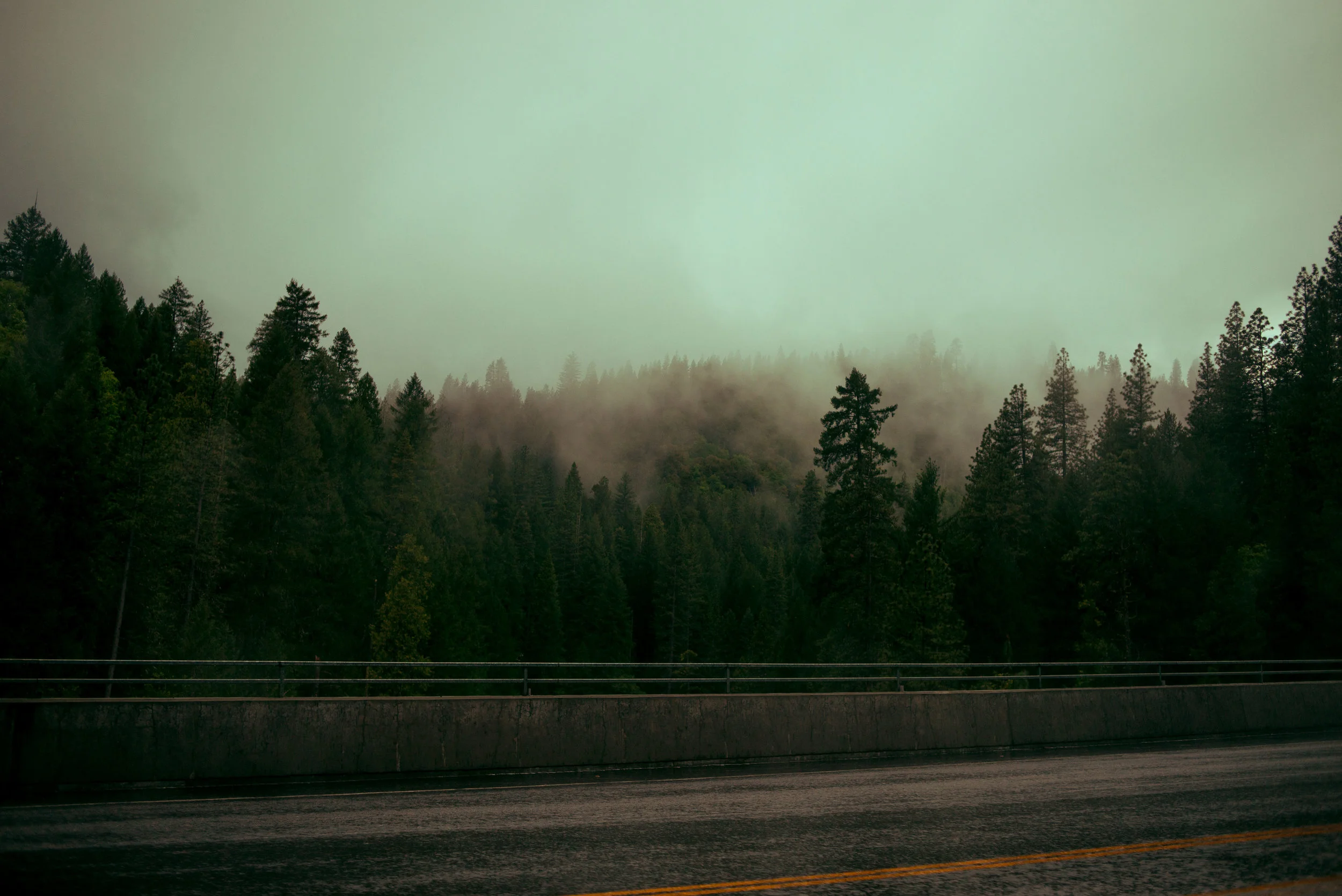 DSC_6648.jpg