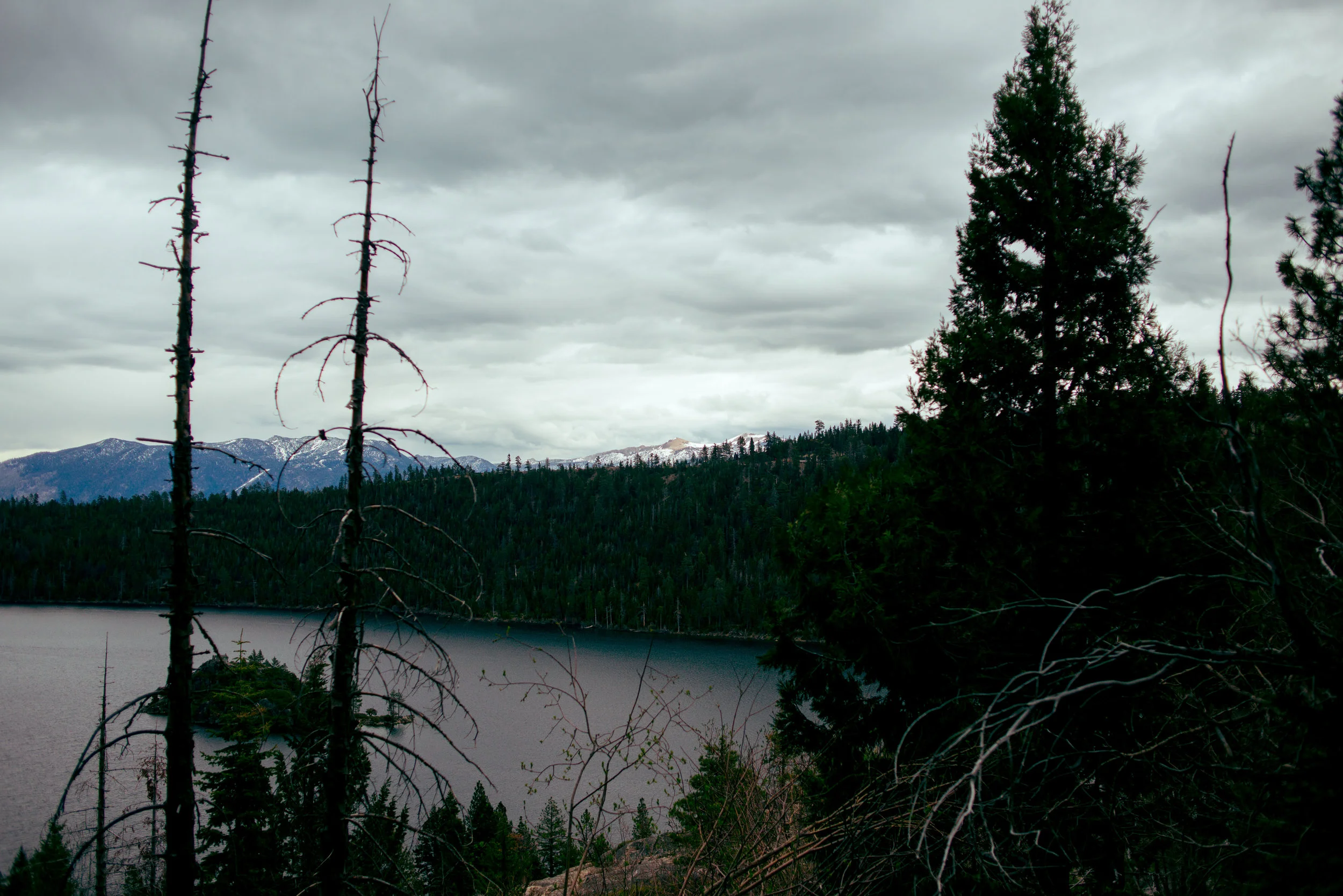 DSC_6727.jpg