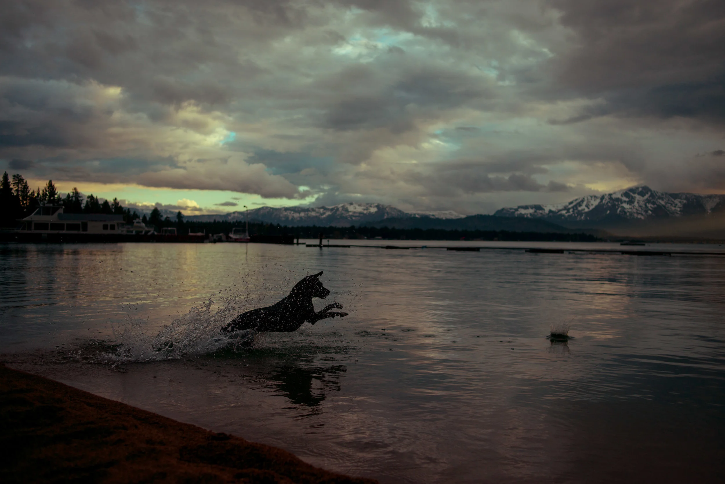 DSC_6936.jpg
