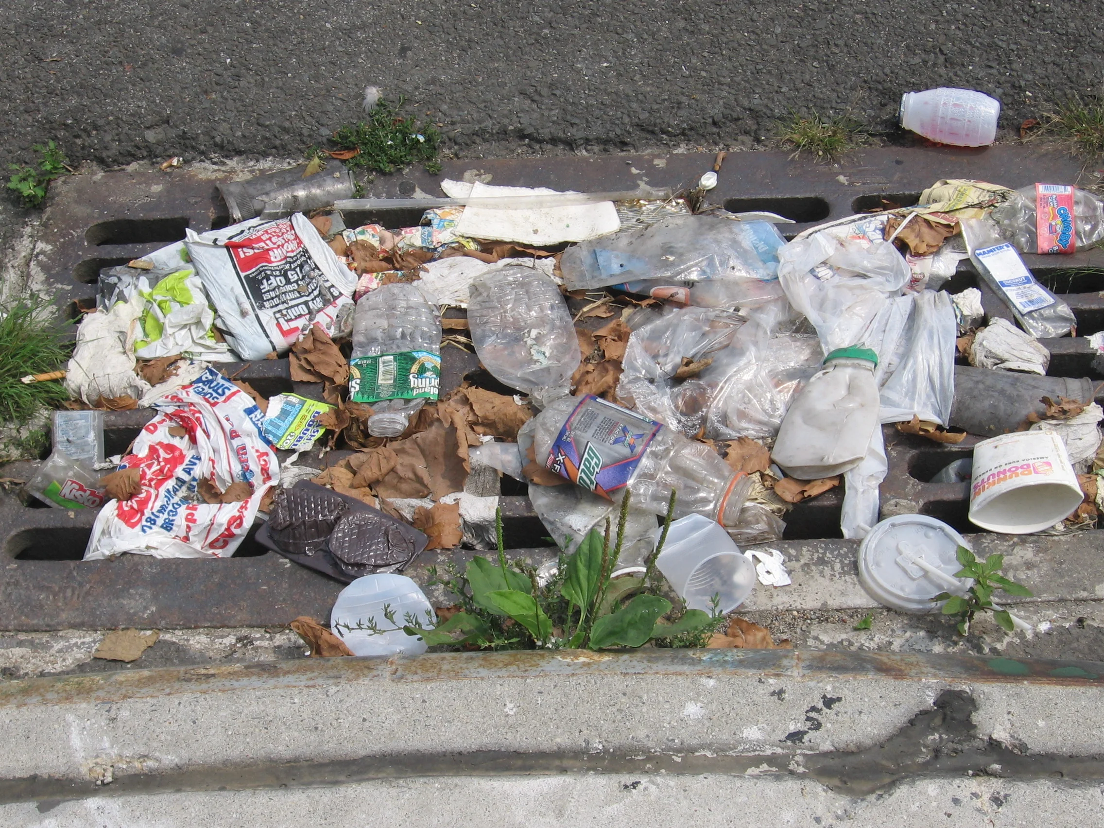 STOP THE POLLUTION by MAIRENI _15.JPG