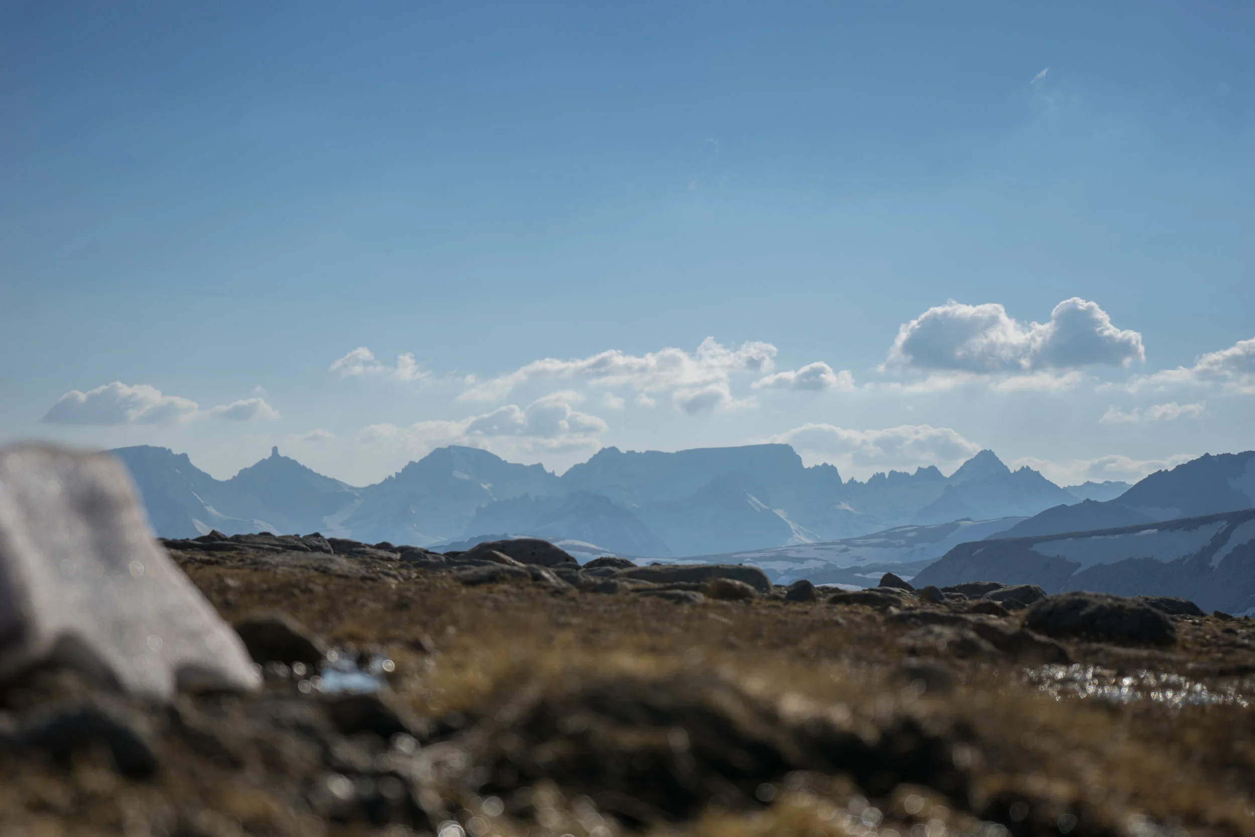 _DSC3913.jpg