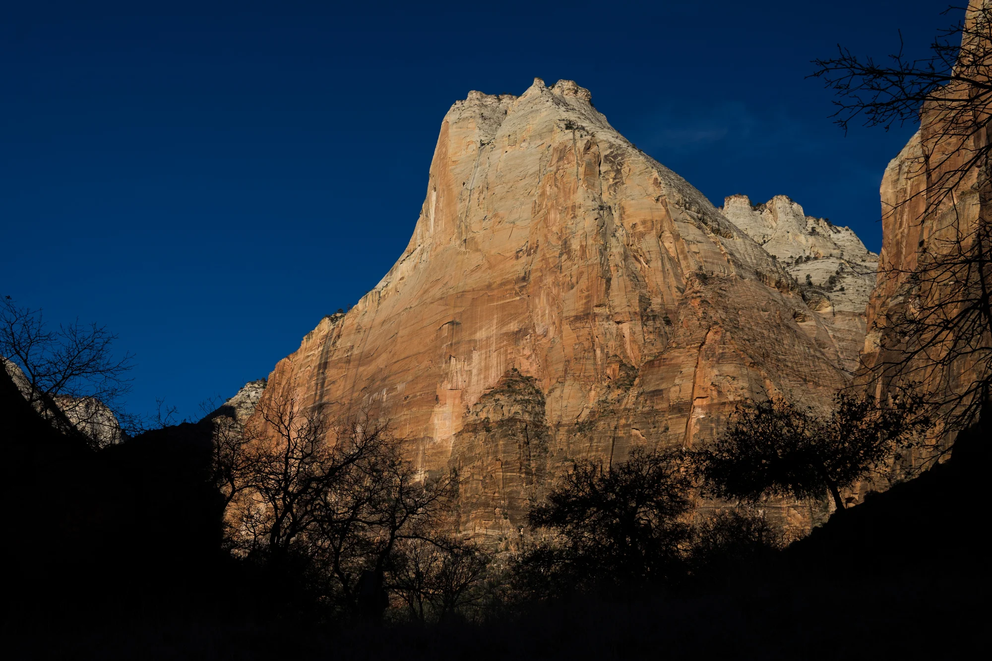 _DSC3797.jpg