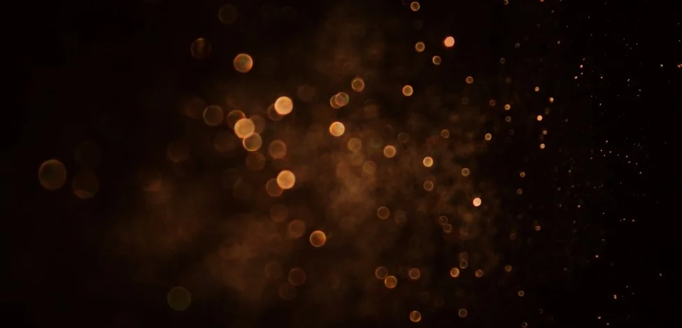 Background Web (2).jpg