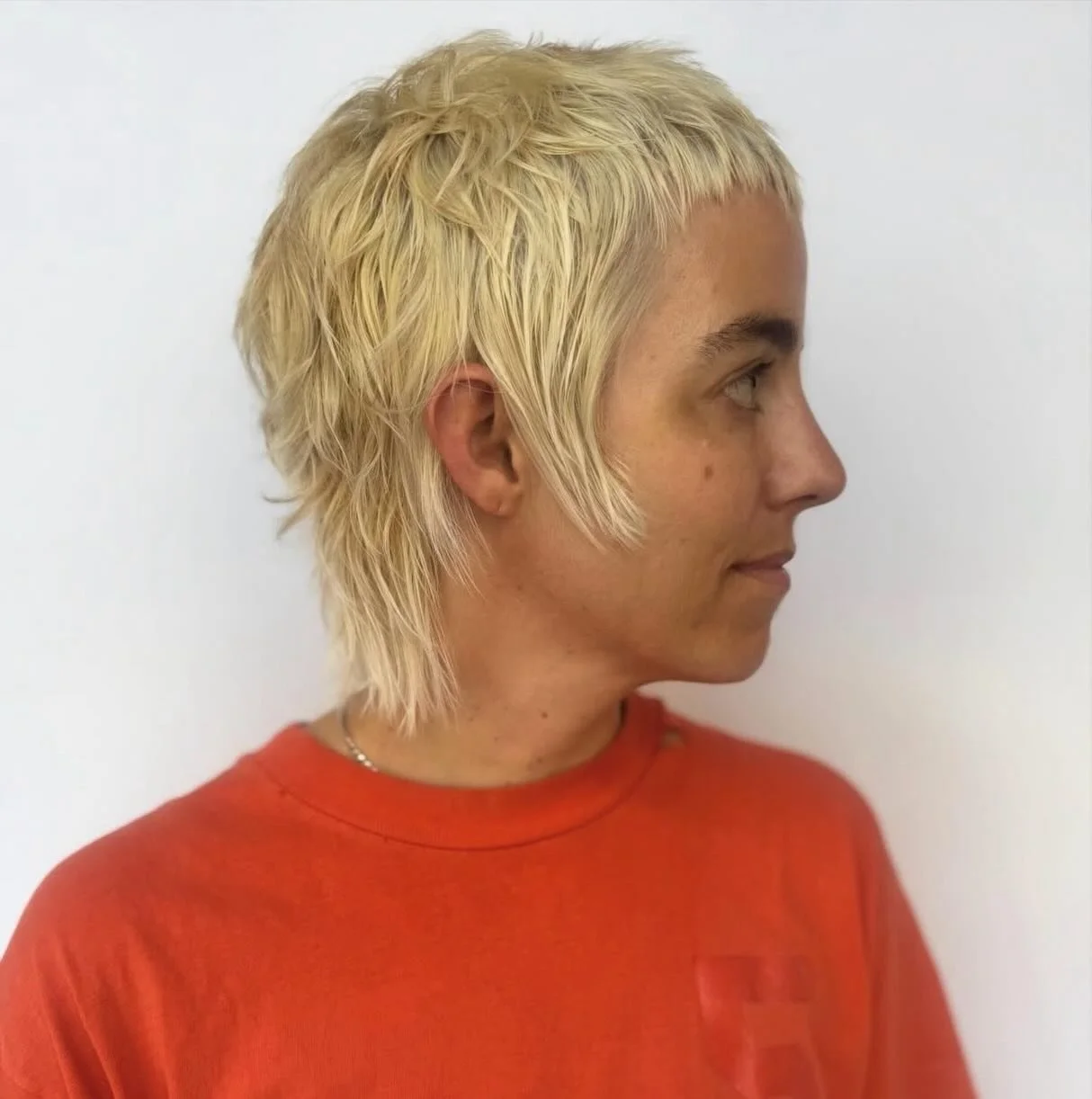 Wispy Mixie by @didbrendandoyourhair