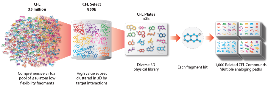 Comprehensive Fragment Library Bioblocks
