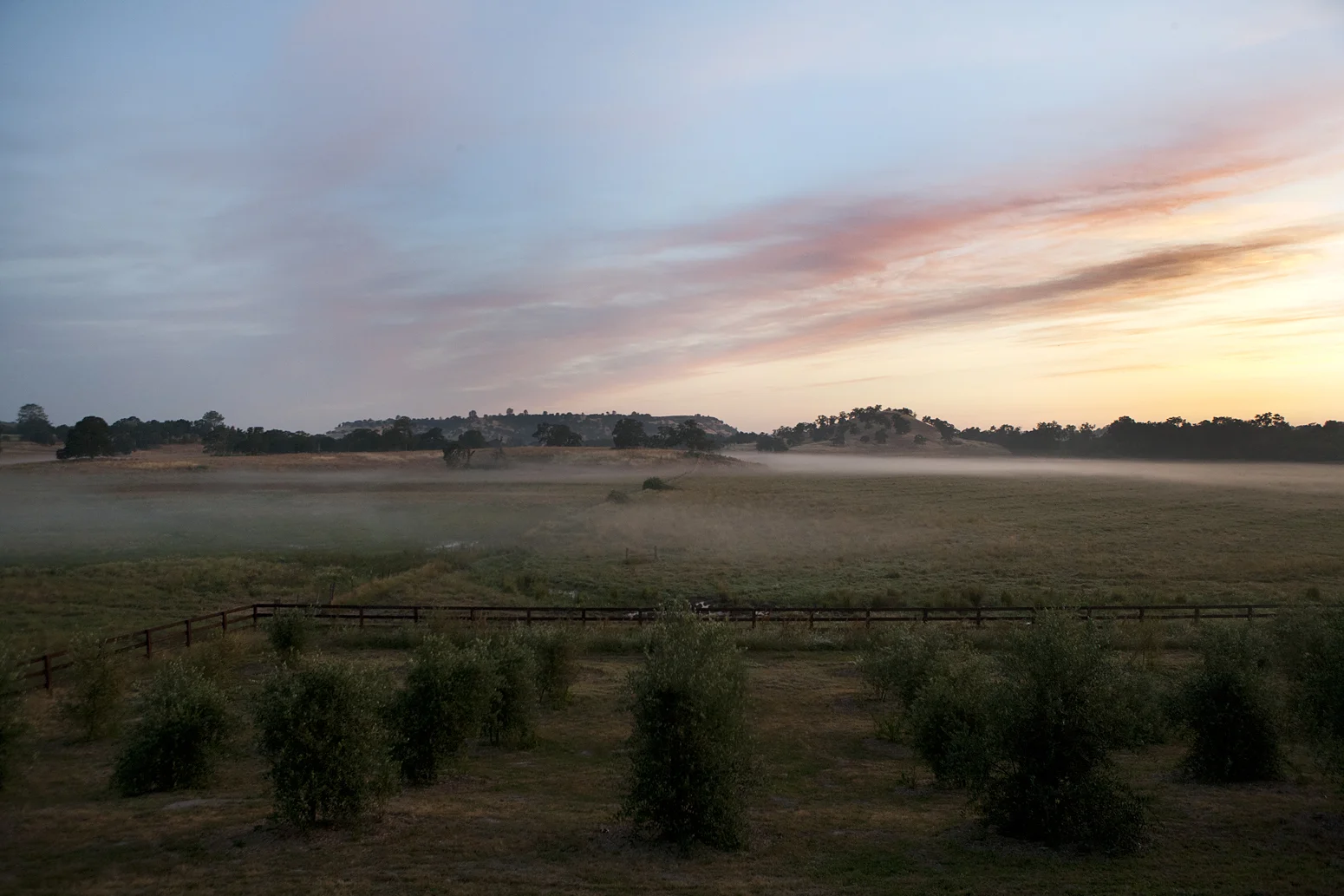 PT Ranch - Ione, CA