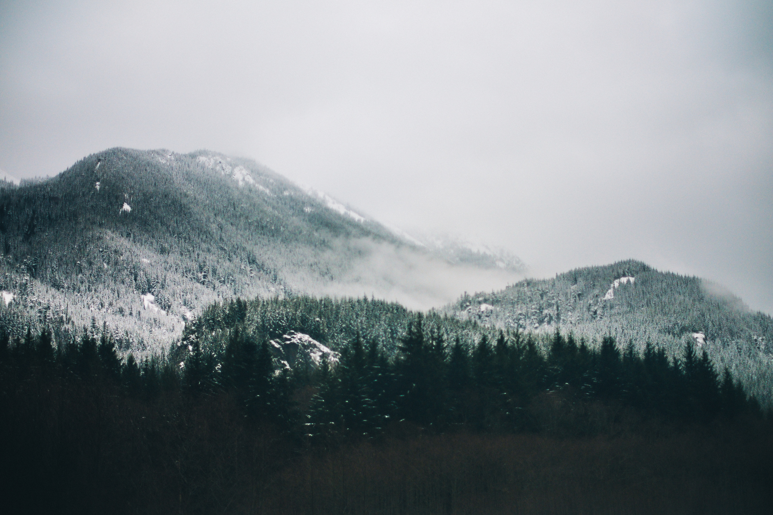 Deal Lawyers Focused on Real Estate Commercial Real Estate, Mountain Properties; Residential Properties; The Experience You Need. Real Estate Experts