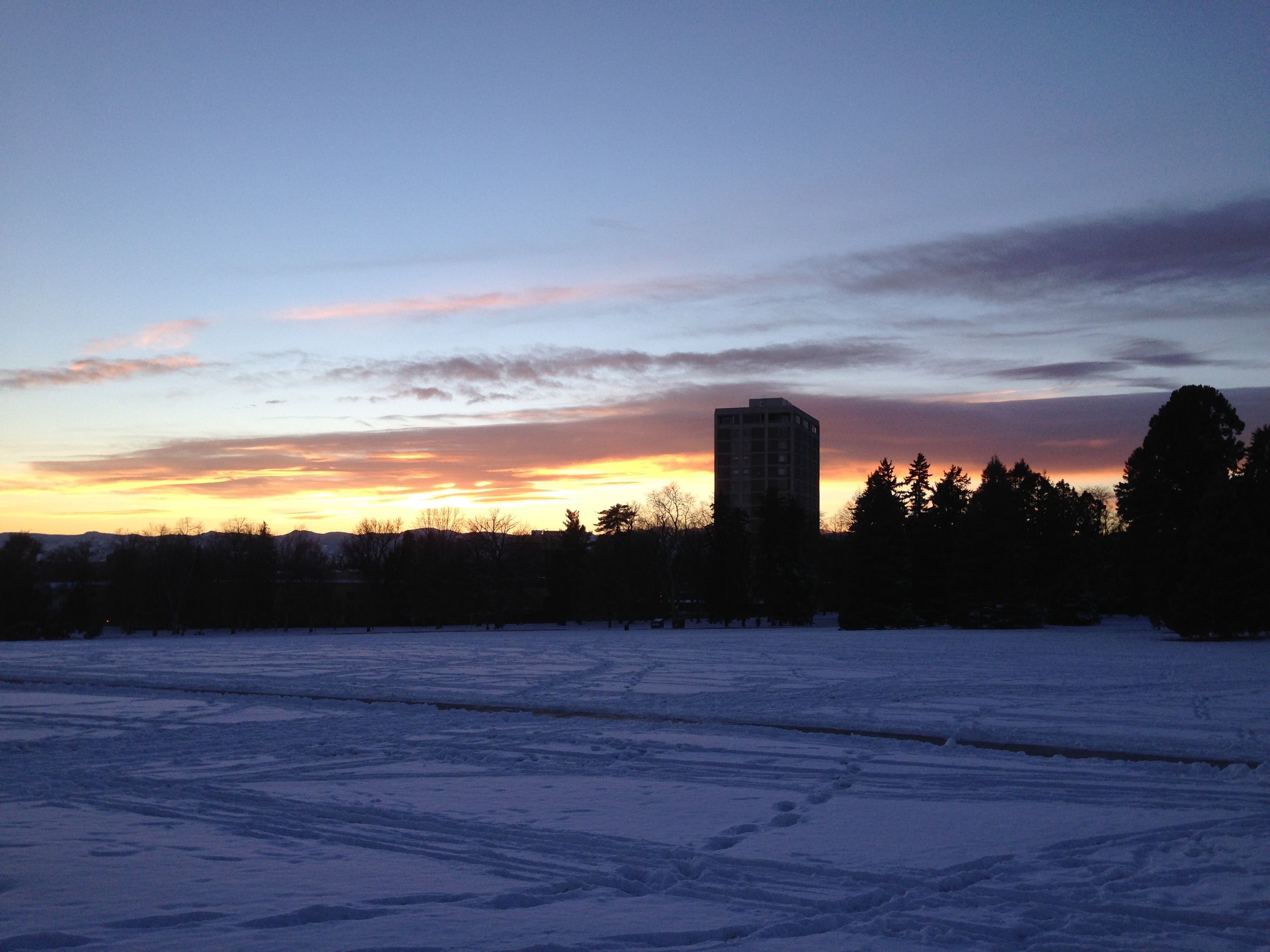 Cheeseman Park Winter Morning: Copyright David C. Uhlig 2016