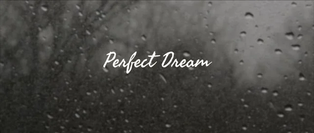 Perfect Dream