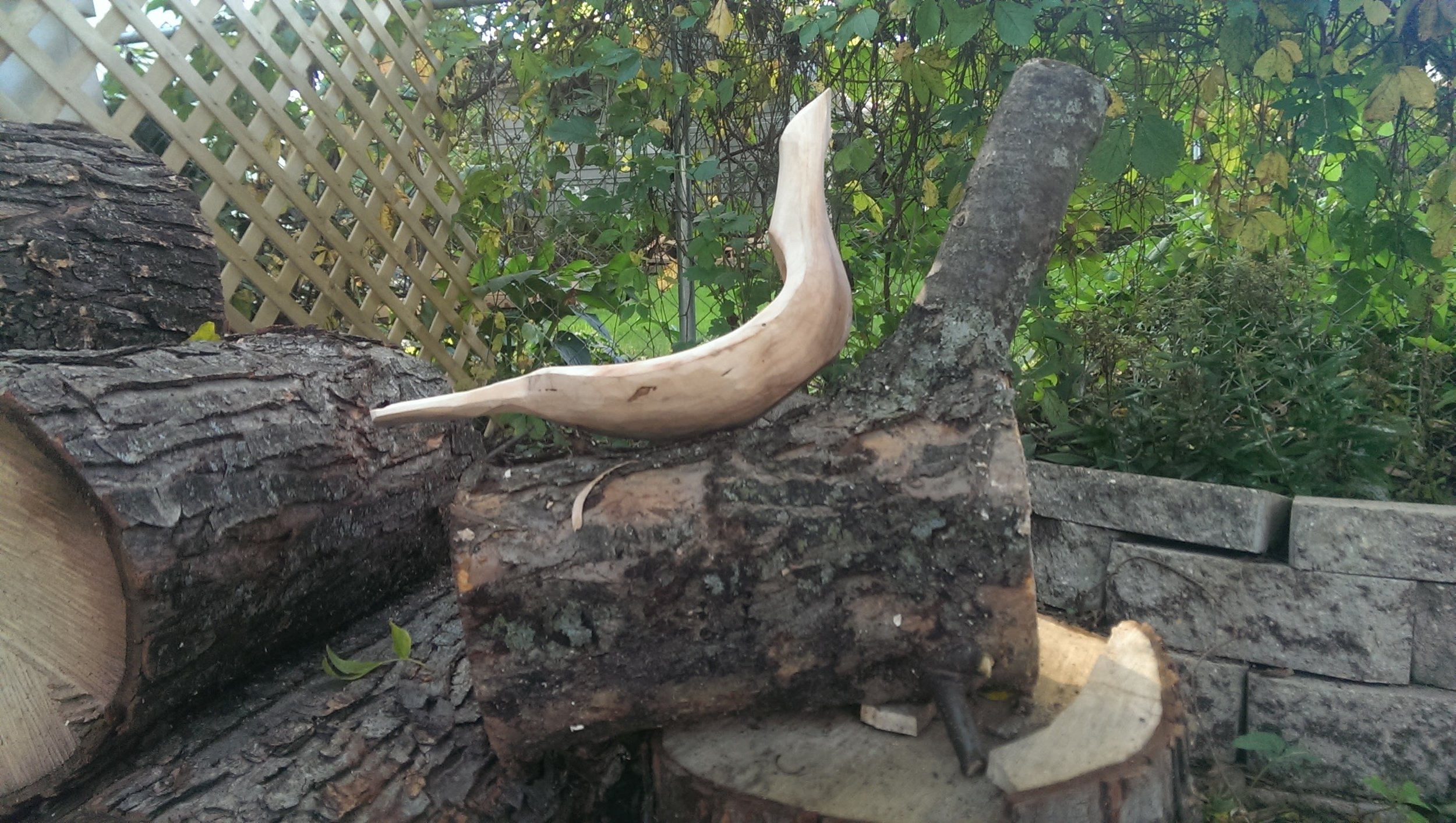 An almost finished bird bowl, sitting atop a log ready to become another bird bowl