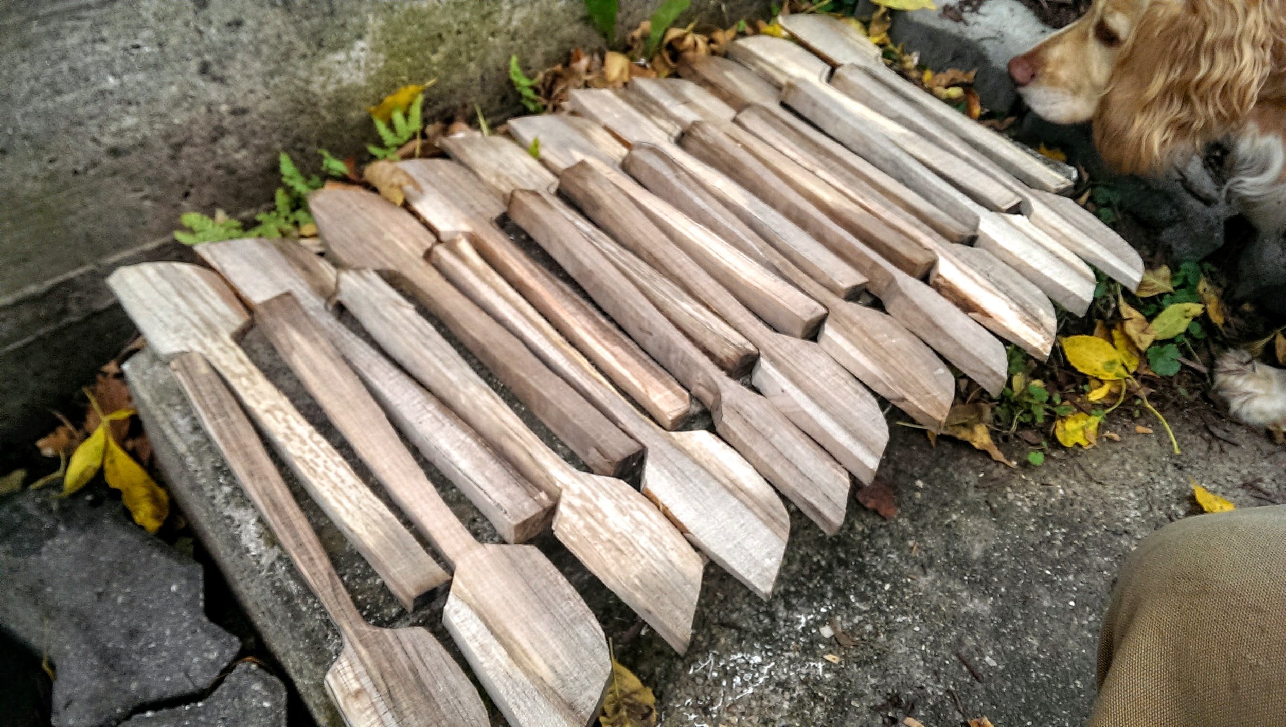 Maple spatulas axed out.