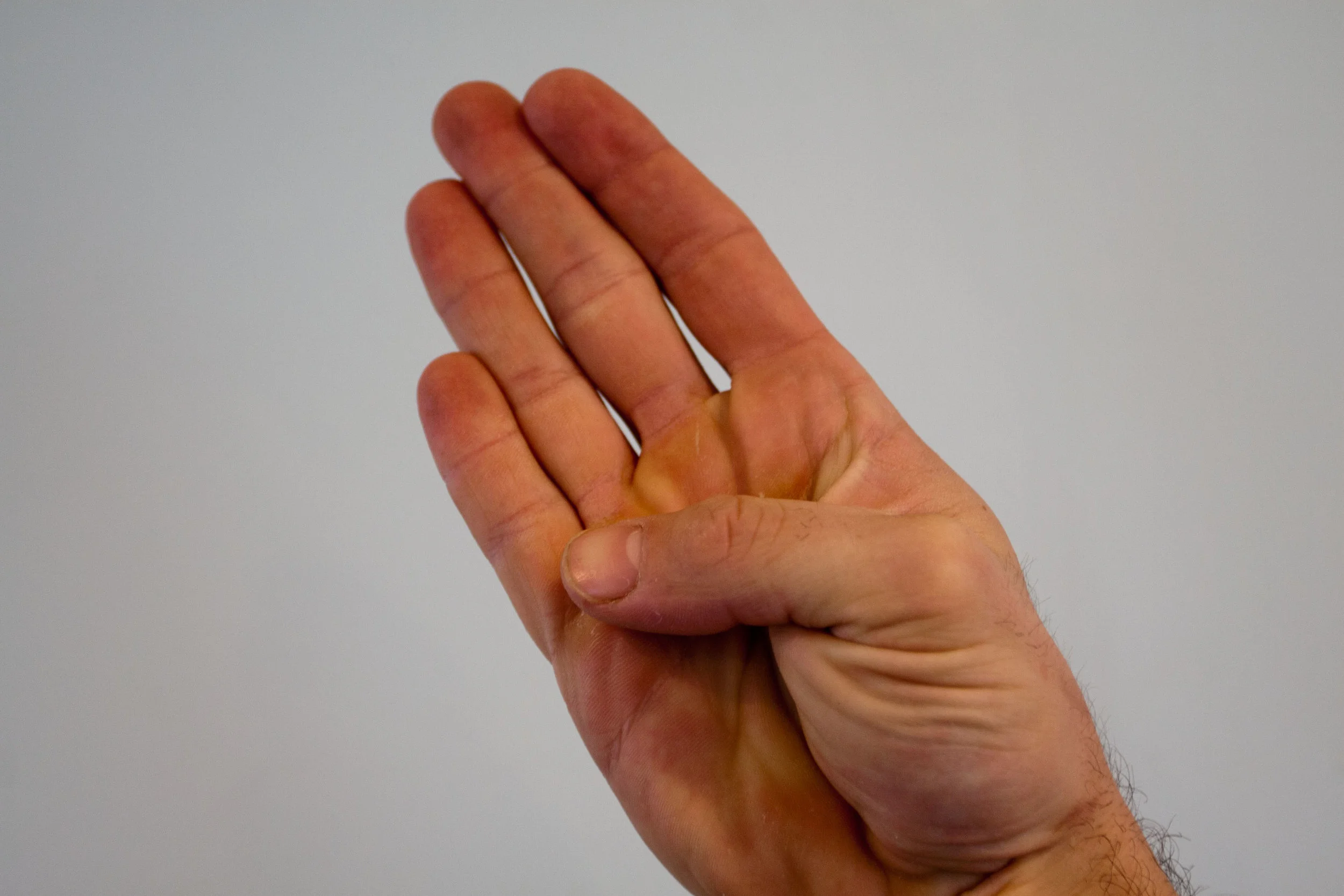 8 Essential Stretches for Woodworkers — Sylva Spoon