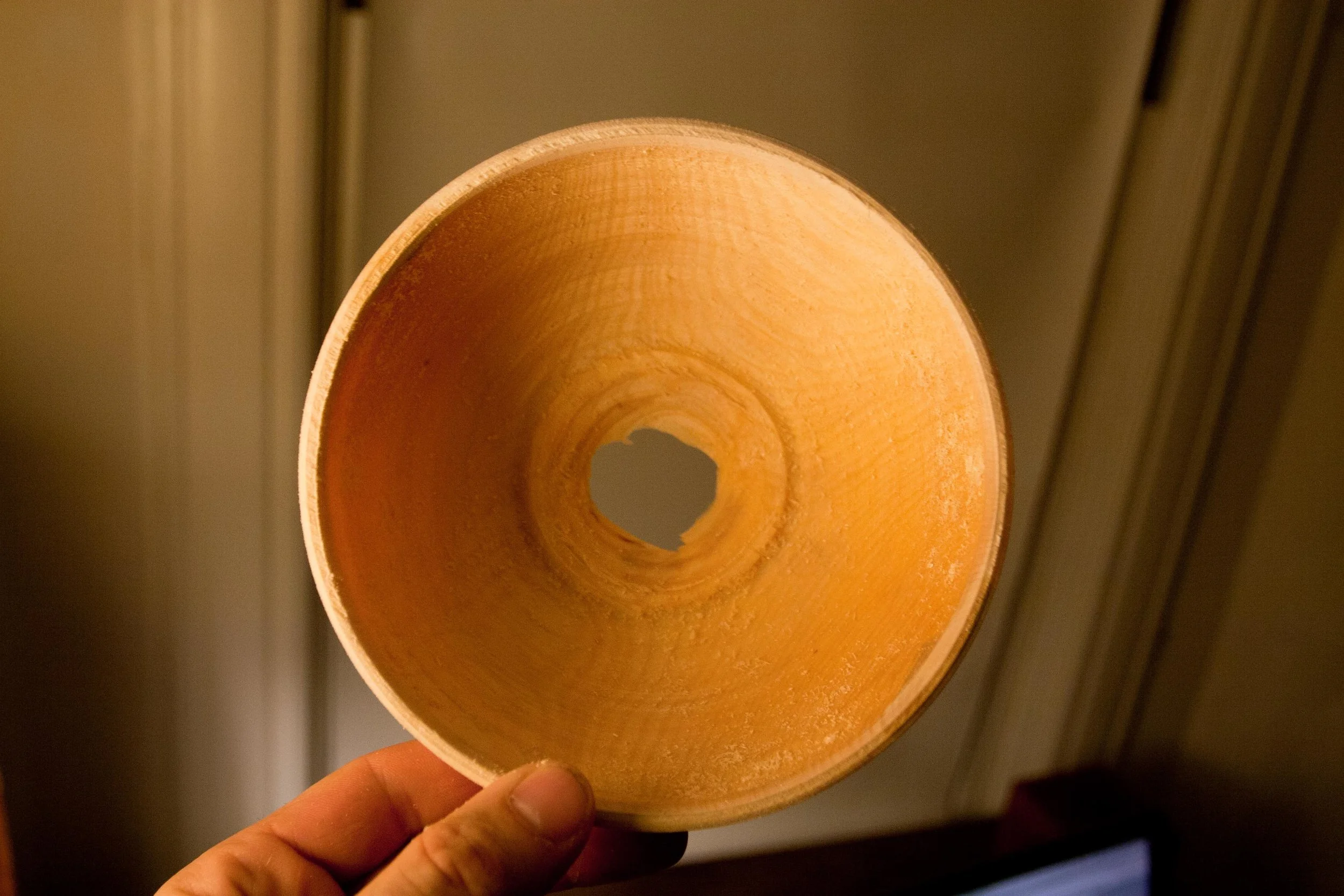 Lampshade? Diet bowl?