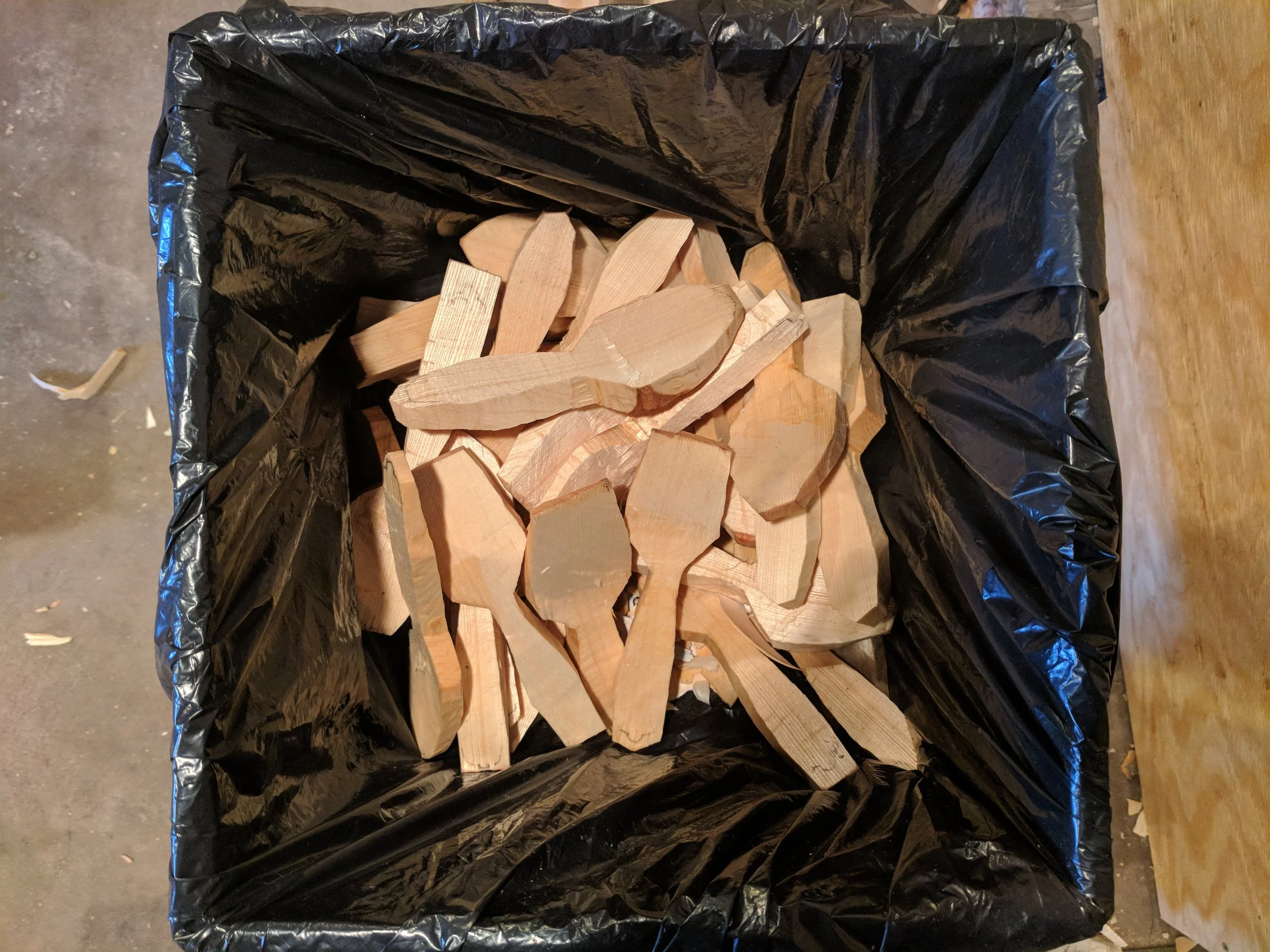 IMG_20180131_102749.jpg