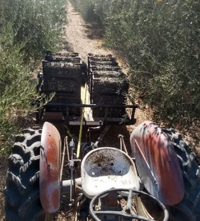 tractor 1.jpg