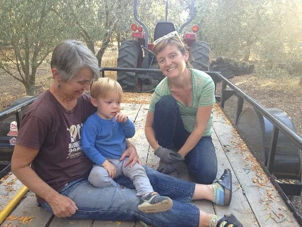 Helpers in the grove. Thank goodness for granny.