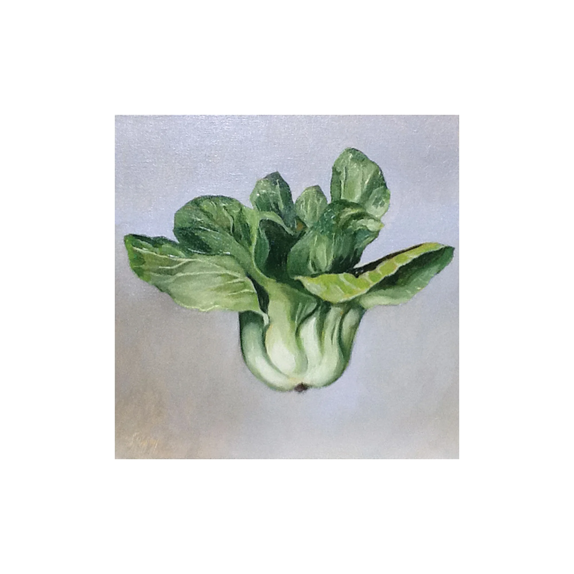 Floating Bok Choy , 2011, oil on canvas, 12 inches square, Private collection
